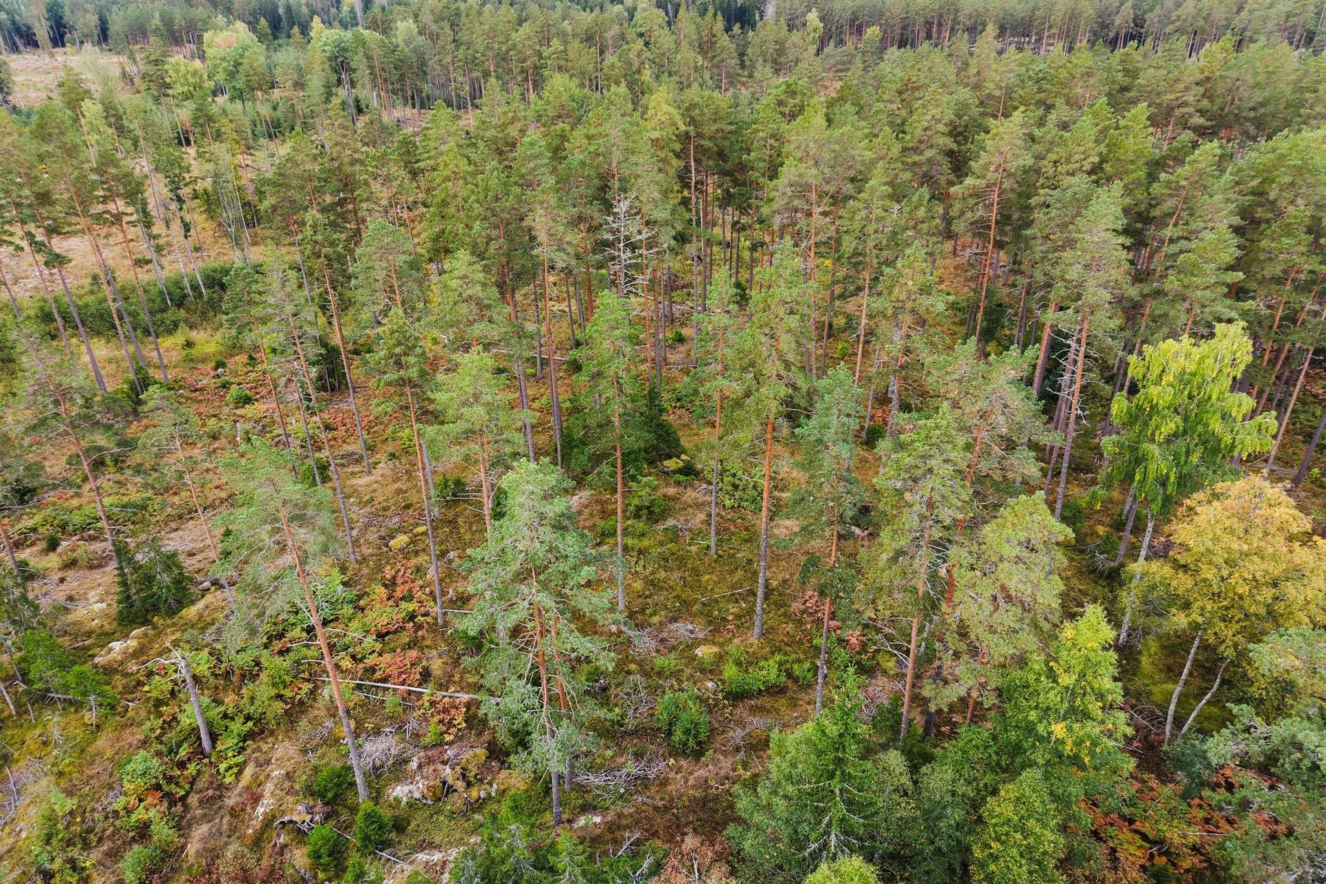 Gård med skogsbruk på Norrtälje Bro 4:8 & 8:1 Norrtälje kommun - bild 15