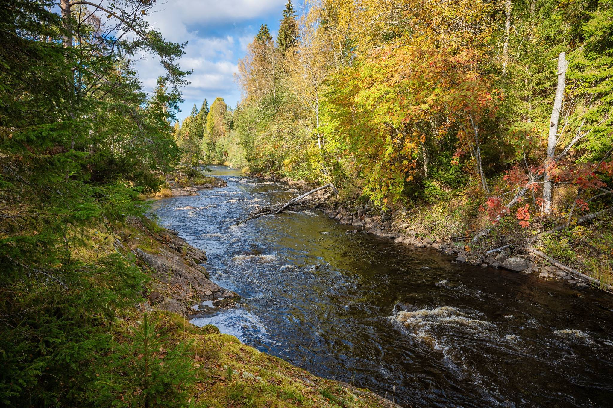 5 rum Gård/skog på Önska 122 Önska Örnsköldsviks kommun - bild 51