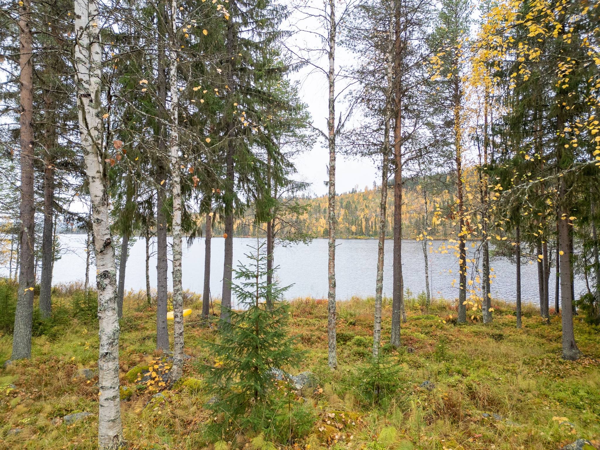 3 rum Gård/skog på Avasund 106 Storuman Storumans kommun - bild 39
