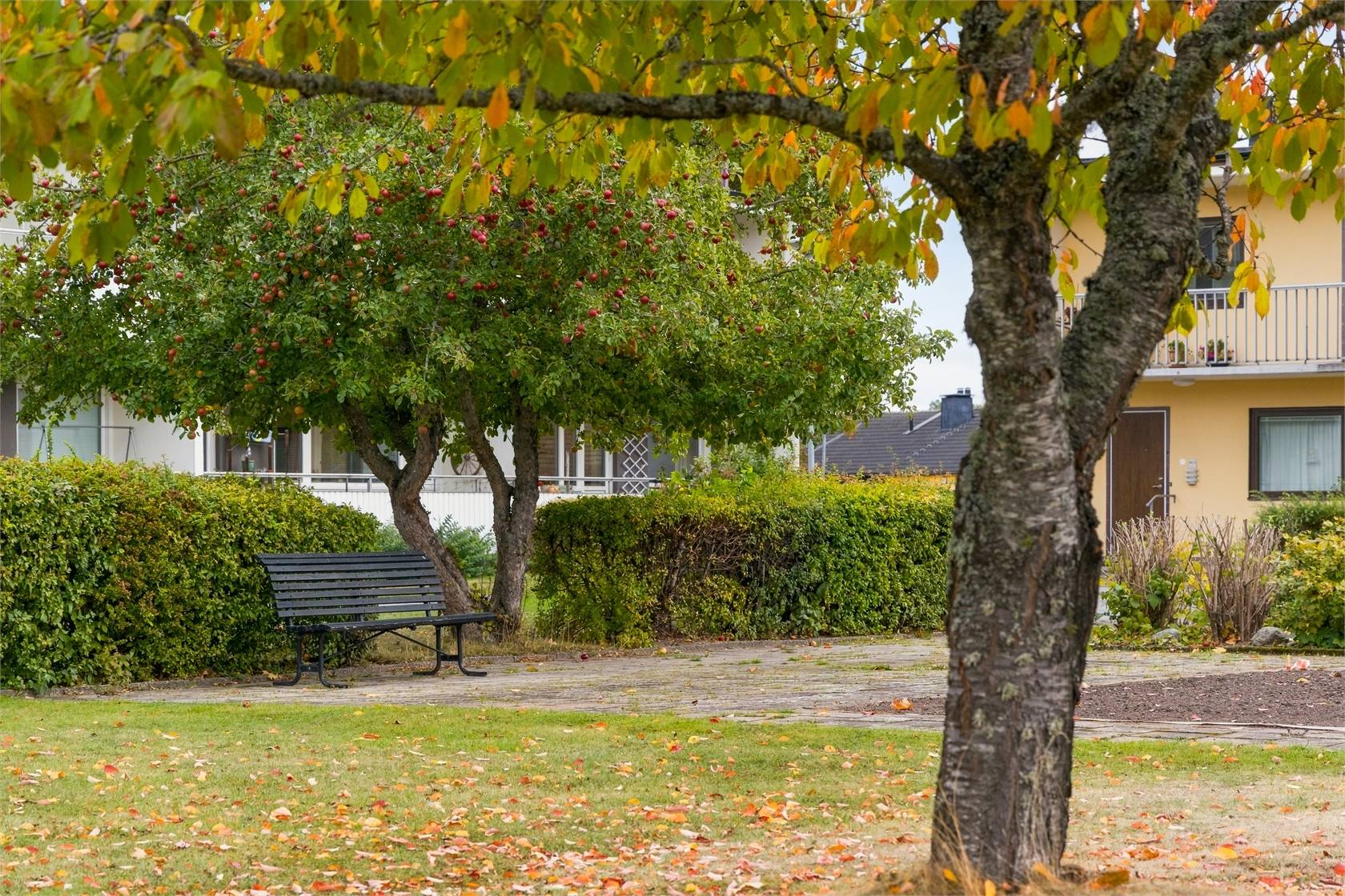 2 rum Lägenhet på Lillgårdsgatan 33 Berga Linköpings kommun - bild 16