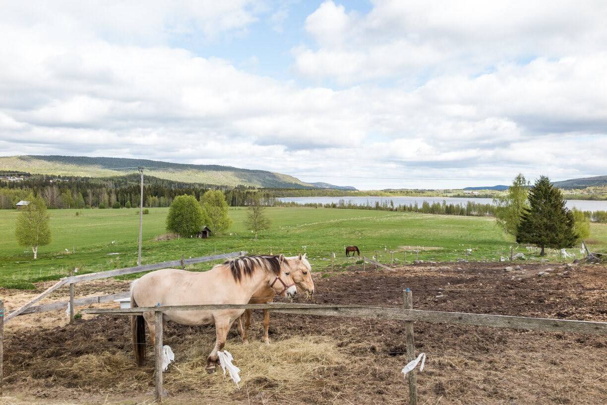 5 rum Gård/skog på Sörsvedje 120 BJÄSTA Örnsköldsviks kommun - bild 8