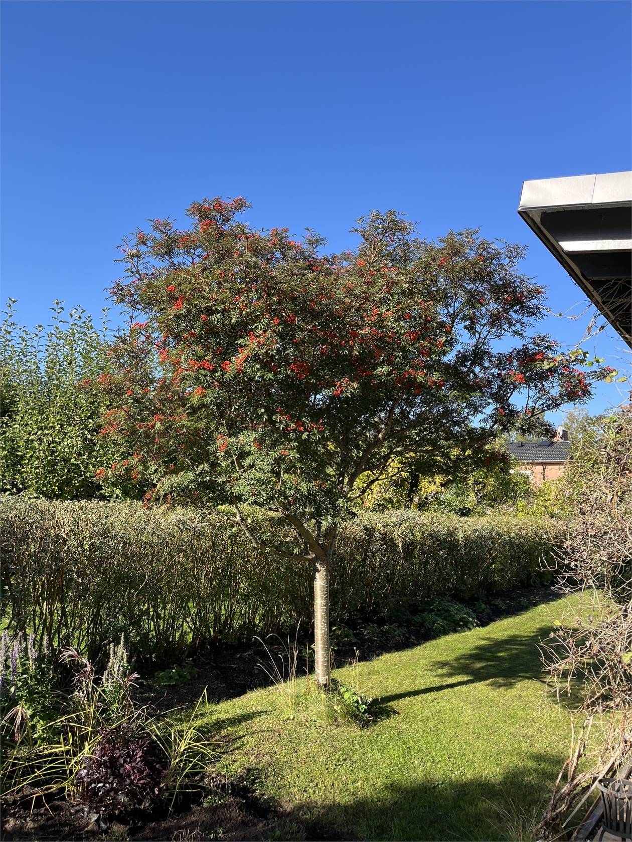 6 rum Villa på Stråkvägen 43 Edsviken Sollentuna kommun - bild 78