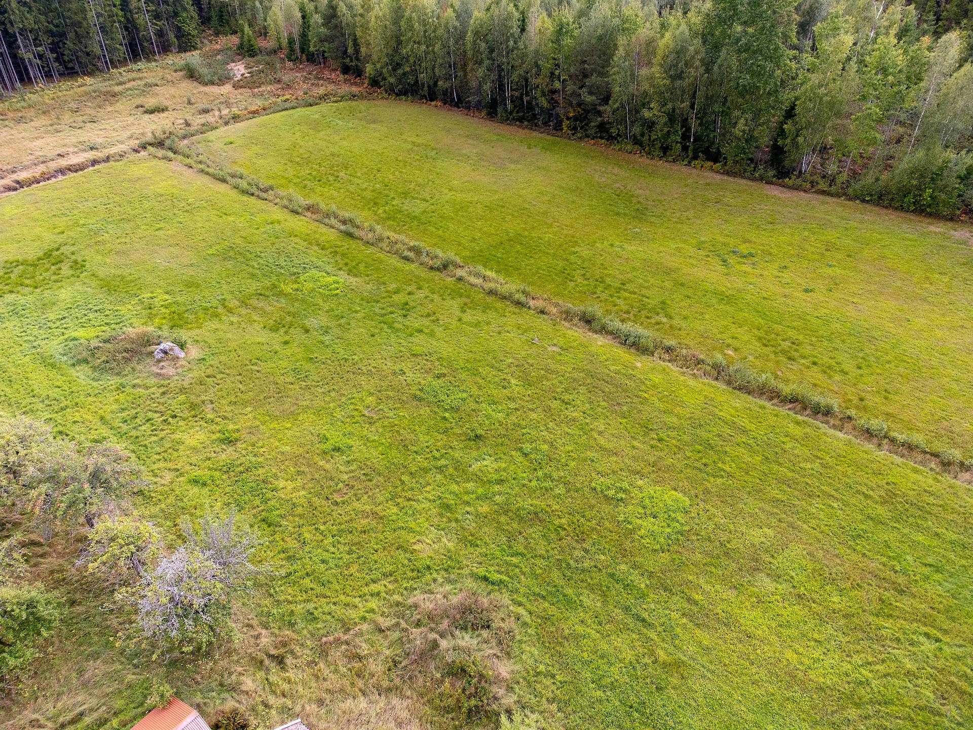 Gård med skogsbruk på Skogalund Lekebergs kommun - bild 4