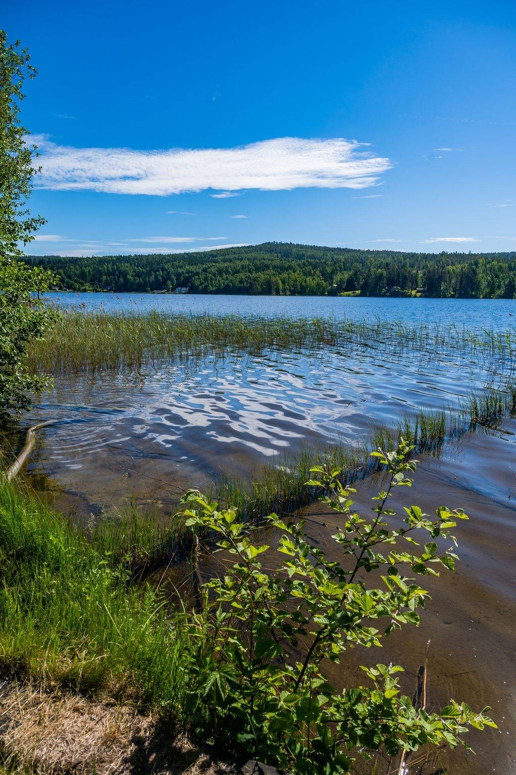 3 rum Villa på Tuna-Långsjön 163 Matfors-Långsjön Sundsvalls kommun - bild 47