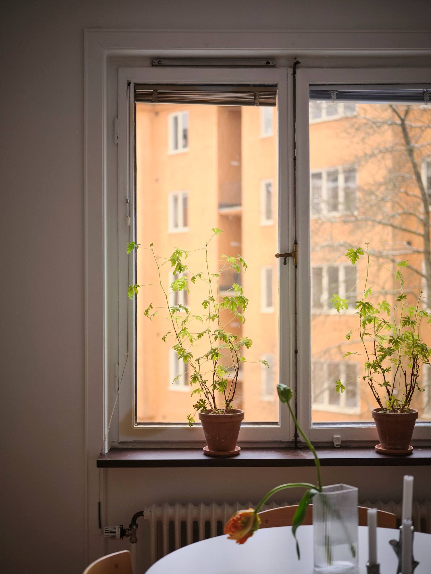 1.5 rum Lägenhet på Svarvargatan 10 Kungsholmen Stockholms kommun - bild 19