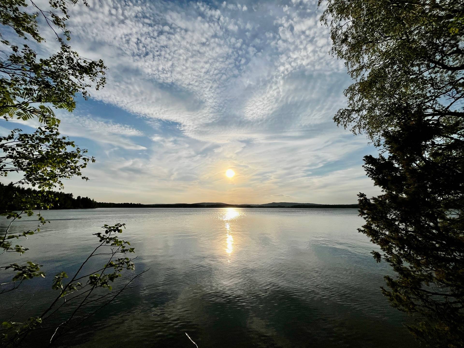 Gård utan jordbruk på Långsbyn Bergsveden 465 Bergsveden Hedemora kommun - bild 12