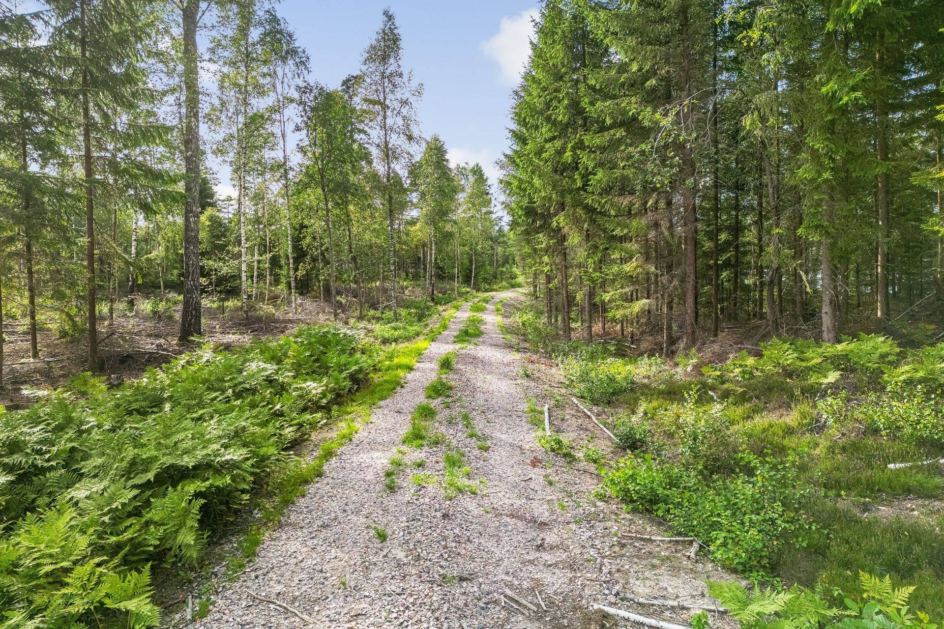 Gård med skogsbruk på SVENLJUNGA YTTRE BACKA 1:5 & 1:13 Svenljunga kommun - bild 18