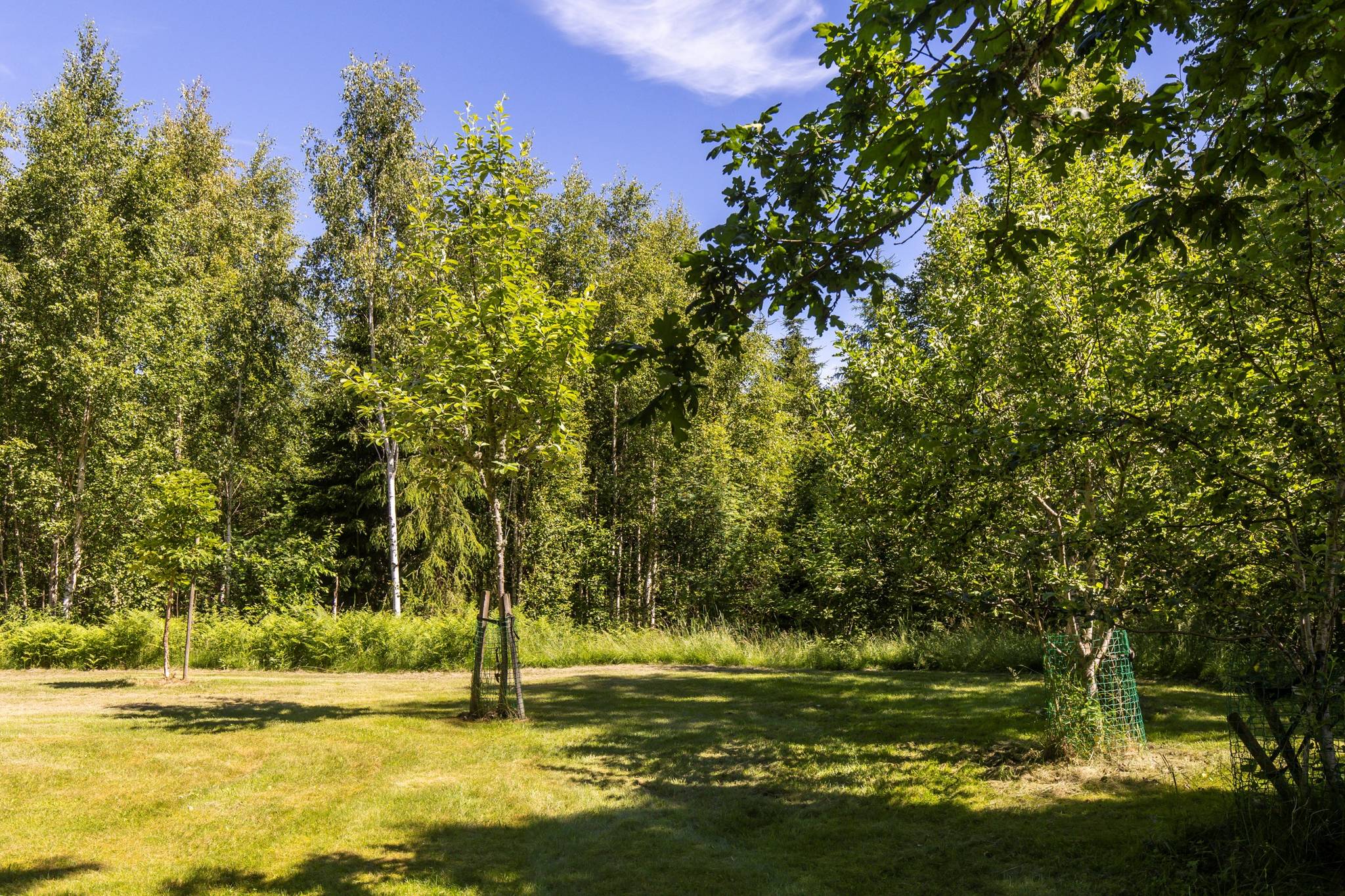 5 rum Gård/skog på Bäckslätten Backagård Kristinehamns kommun - bild 54