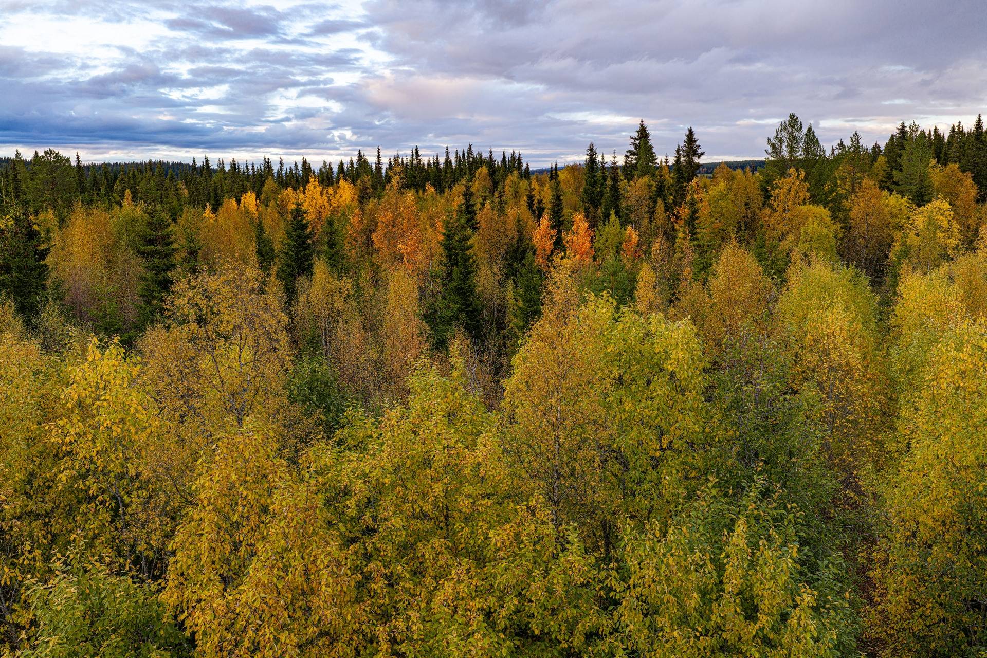 Offerdal, Krokoms kommun