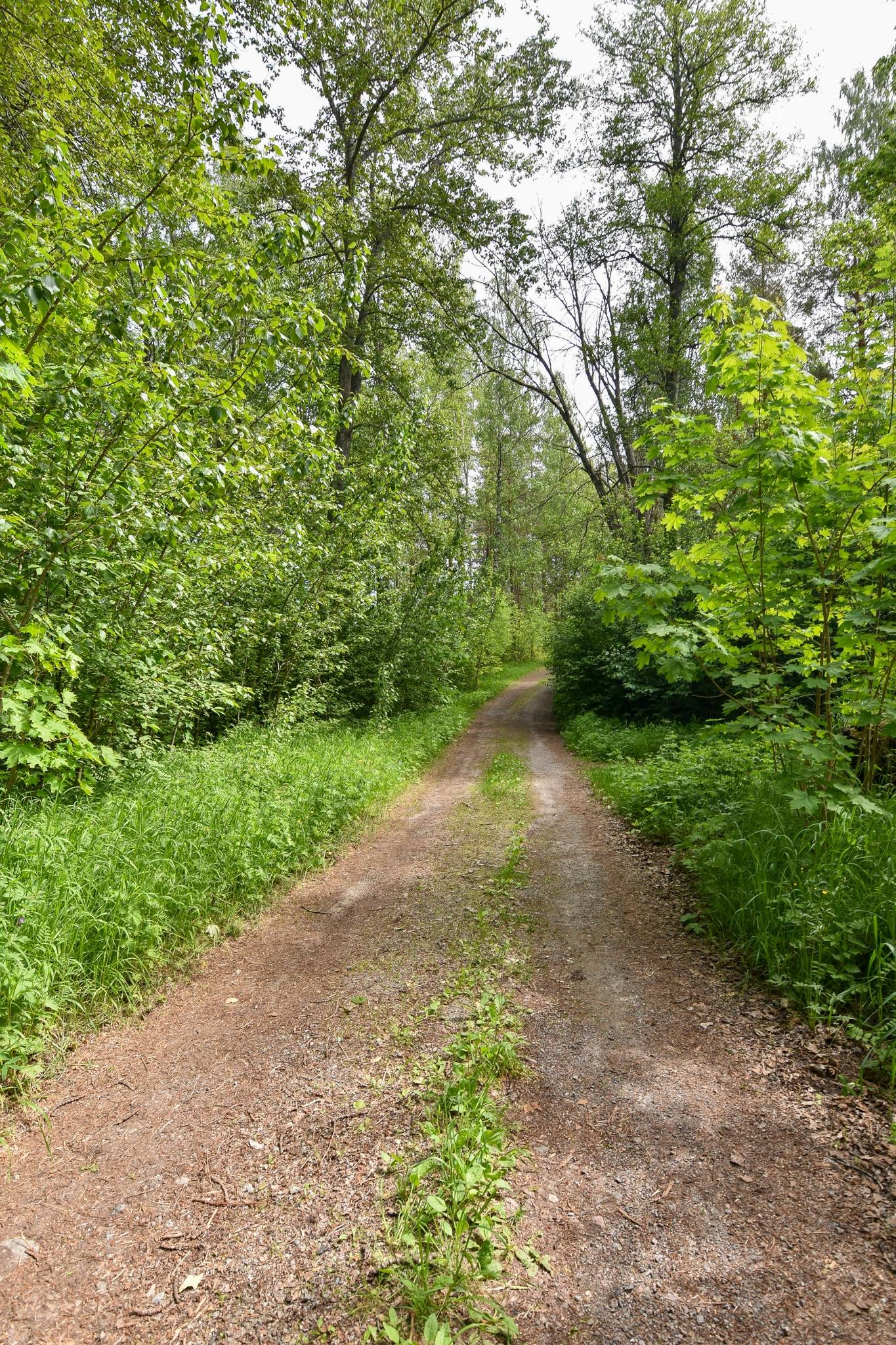13 rum Villa på Breidablickvägen 3, Breidablickvägen 1A och Breidablickvägen 1B Söderhamns kommun - bild 76