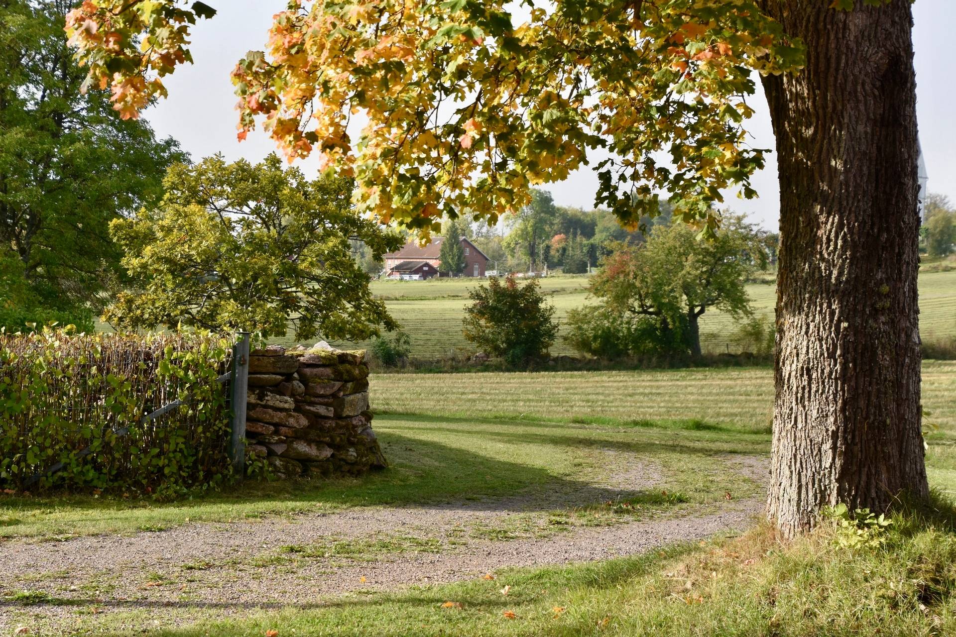 4 rum Gård med jordbruk på Borgunda Börsbo Borgunda Falköpings kommun - bild 21