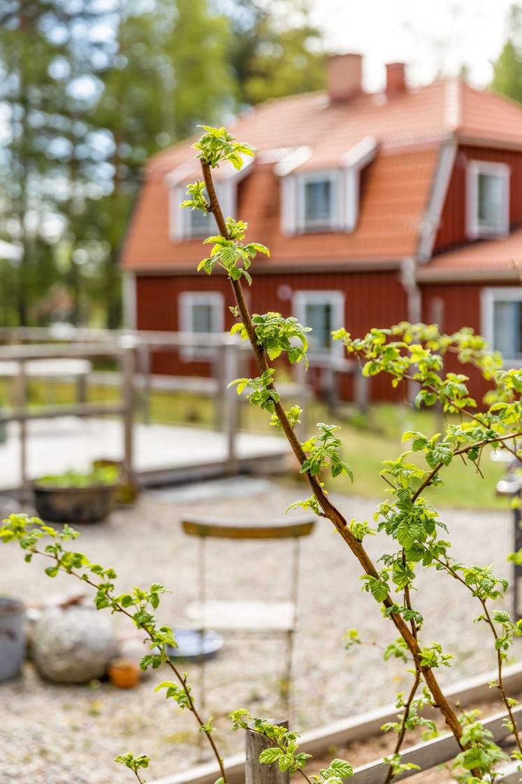 5 rum Villa på Tallstigen 6 Grangärde Ludvika kommun - bild 42