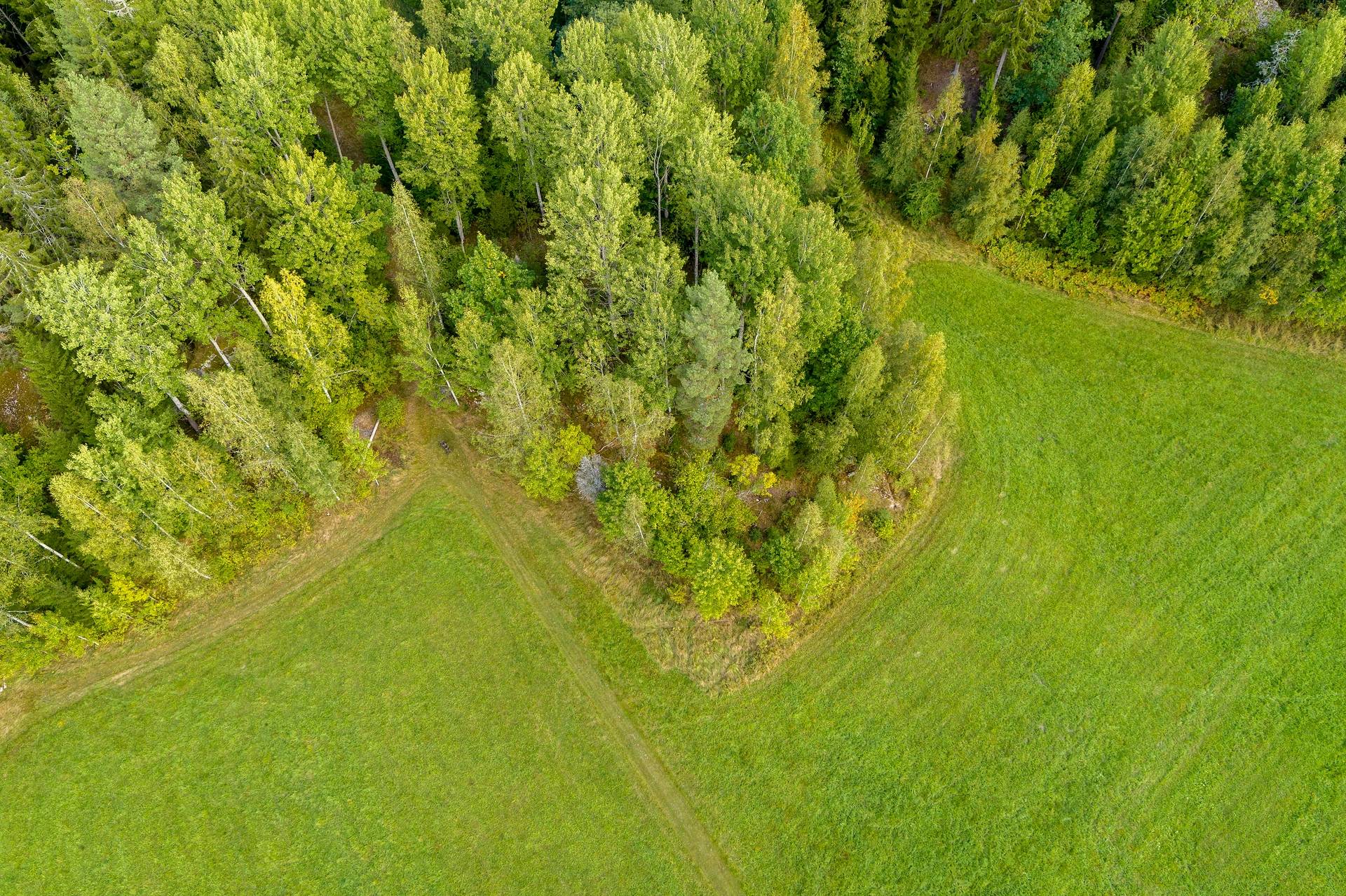 190 m² Gård med jordbruk på Djupviksängen Askersunds kommun - bild 3