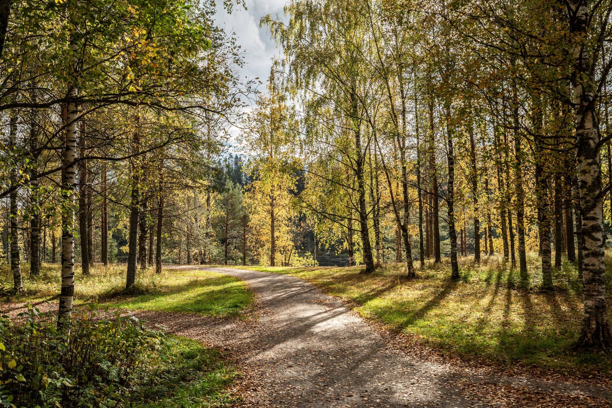 6 rum Villa på Hästskovägen 10 Backen Umeå kommun - bild 44