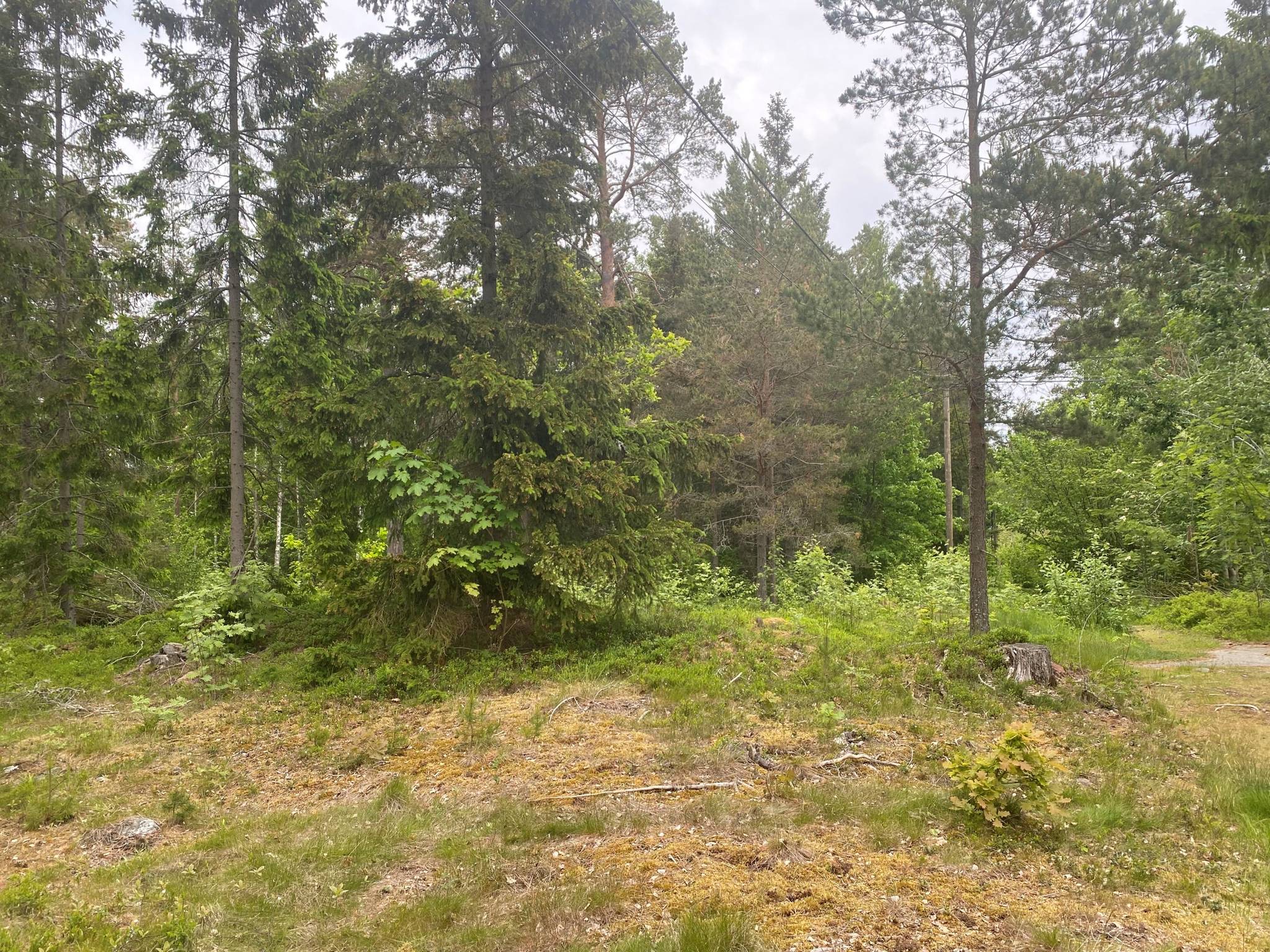Tomt på Björkudden 326 och 324 Blidö Norrtälje kommun - bild 16