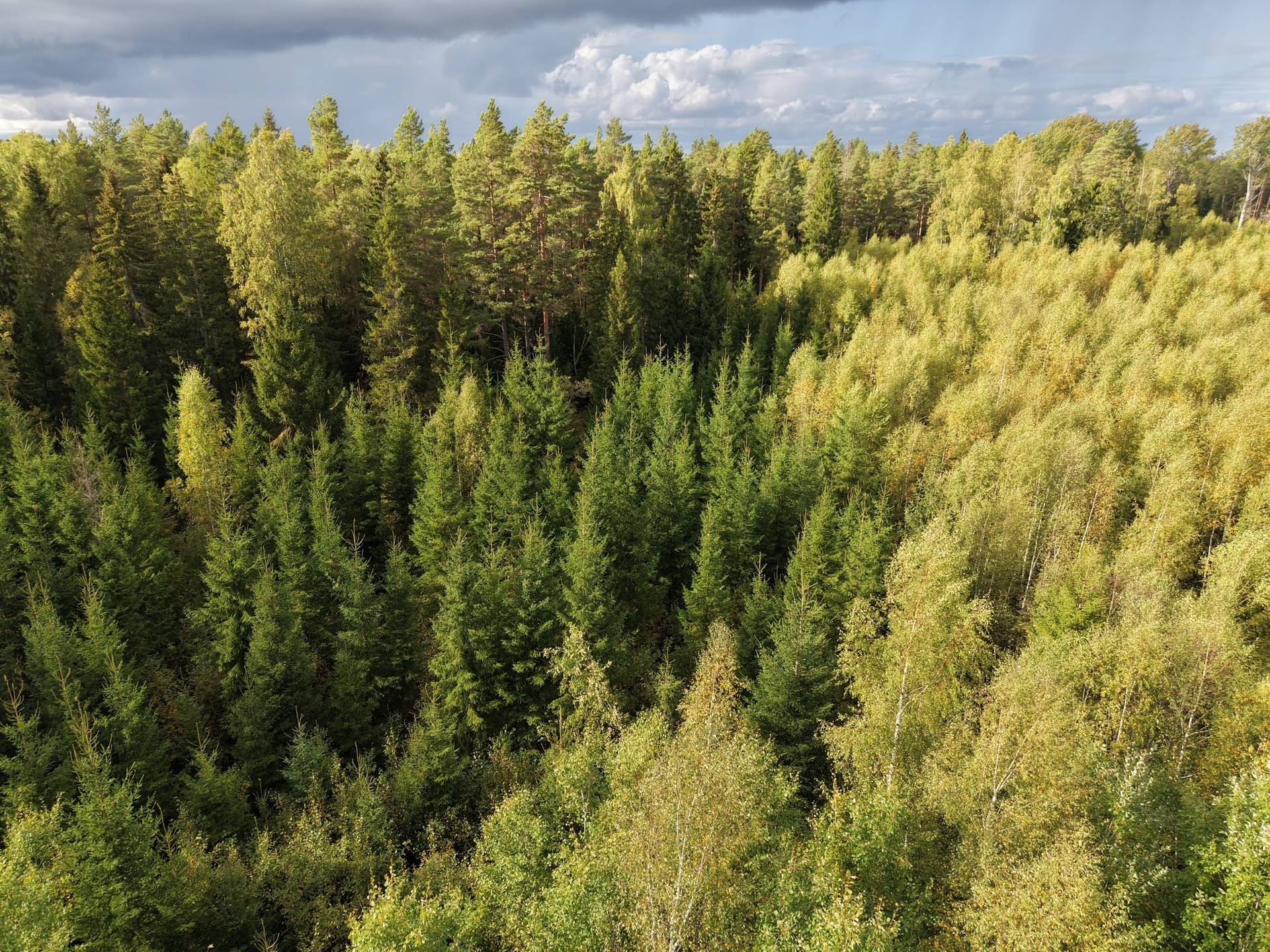 Gård med skogsbruk på NORRTÄLJE SÖDERMARJUM 2:2 Norrtälje kommun - bild 11