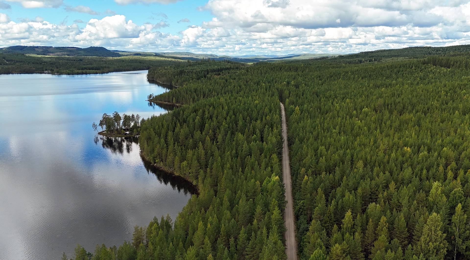 Gård med skogsbruk på Breasen Färila Ljusdals kommun - bild 2