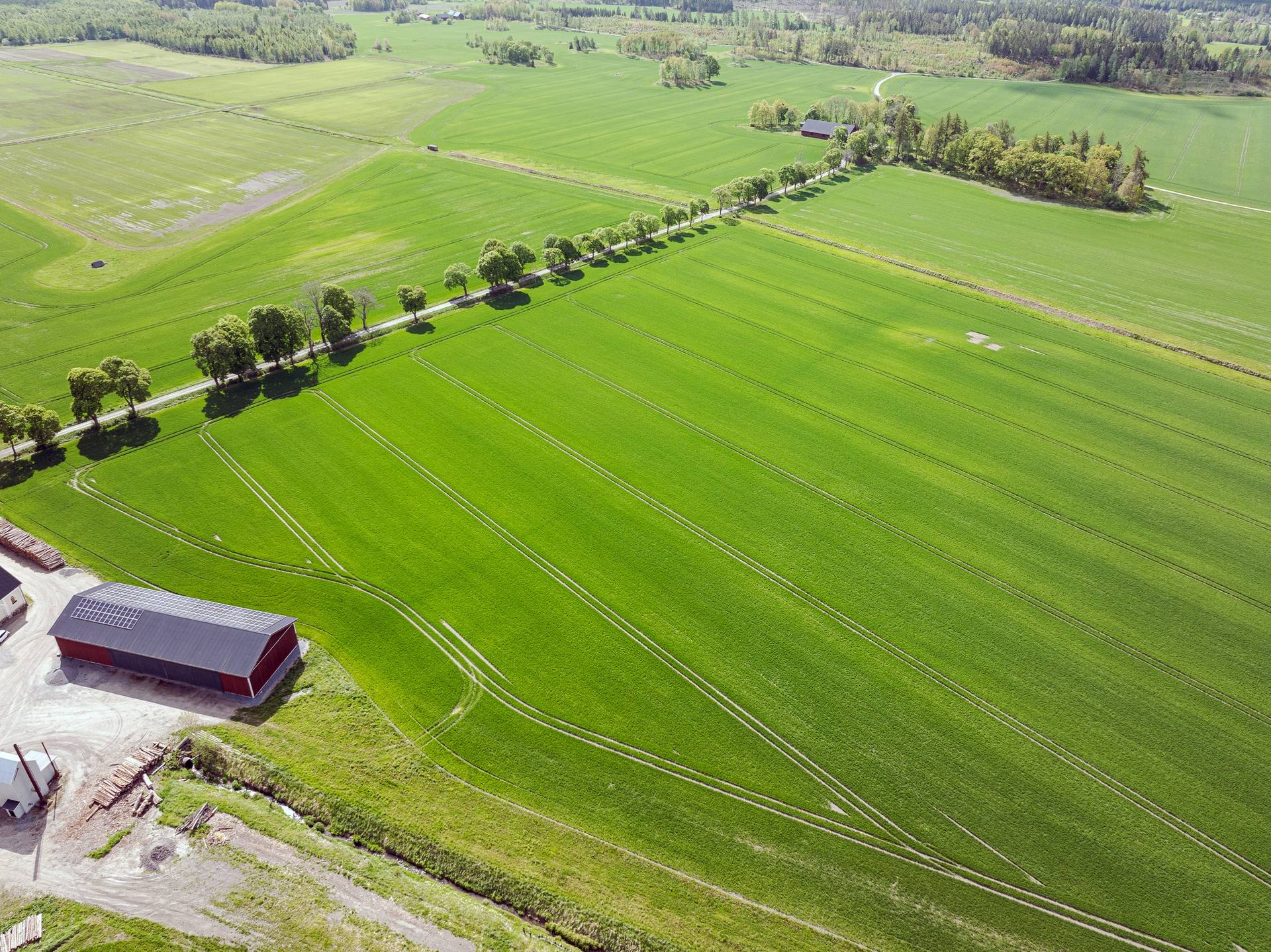 Gård med skogsbruk på Rinkesta säteri Eskilstuna kommun - bild 18