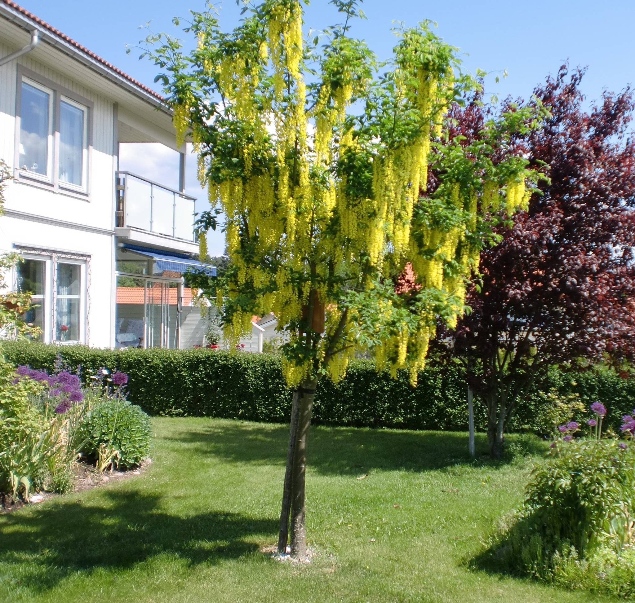 3 rum Lägenhet på Krassevägen 4B Ljungsbro Linköpings kommun - bild 20