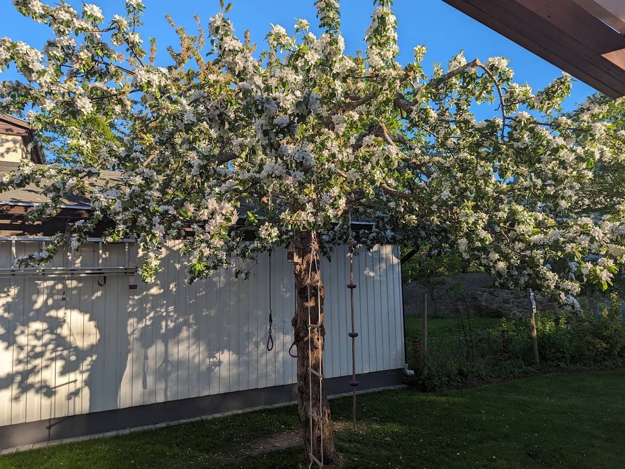 7 rum Villa på Borstbindargränd 12 Mälarhöjden Stockholms kommun - bild 43