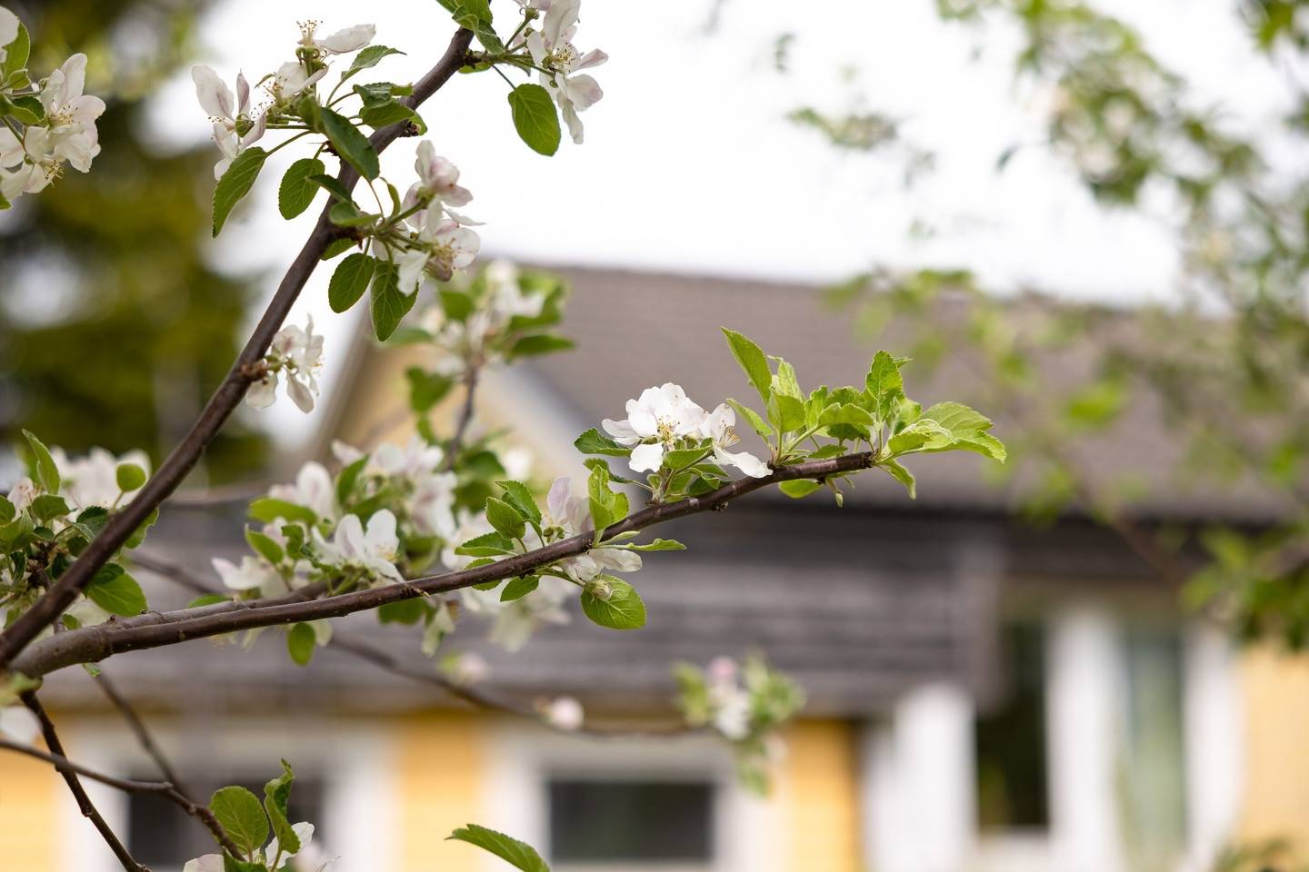 4 rum Villa på Prebendevägen 2 Bälinge Uppsala kommun - bild 36