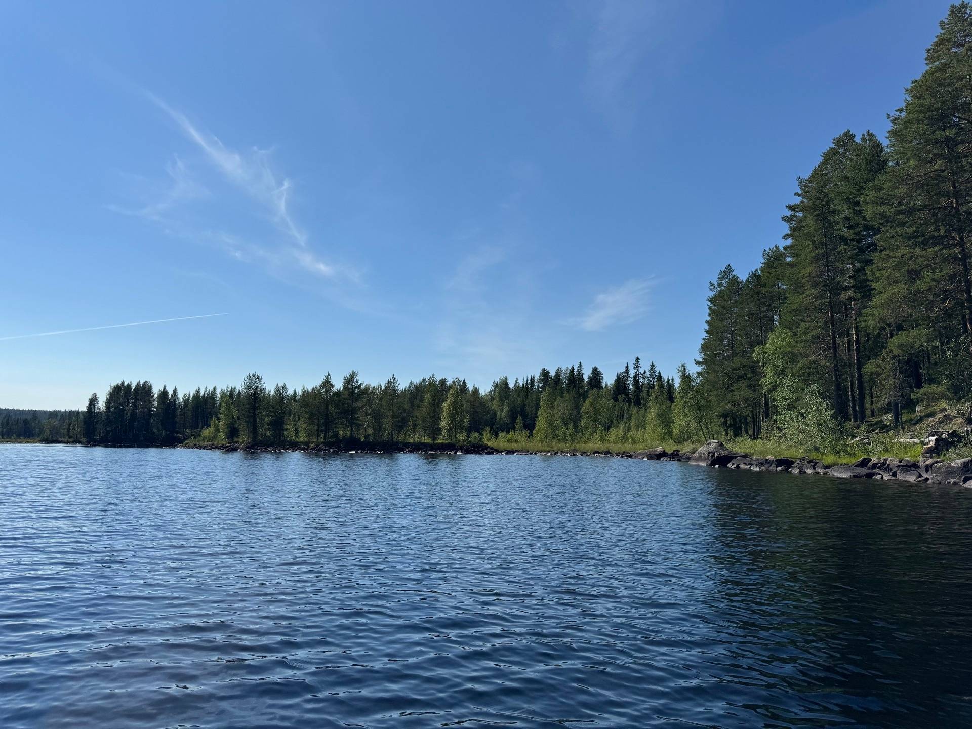 Gård med skogsbruk på Älvsbyn högheden 8:4, 8:5 & Piteå Björkheden 1:6 Älvsbyn Älvsbyns kommun - bild 3