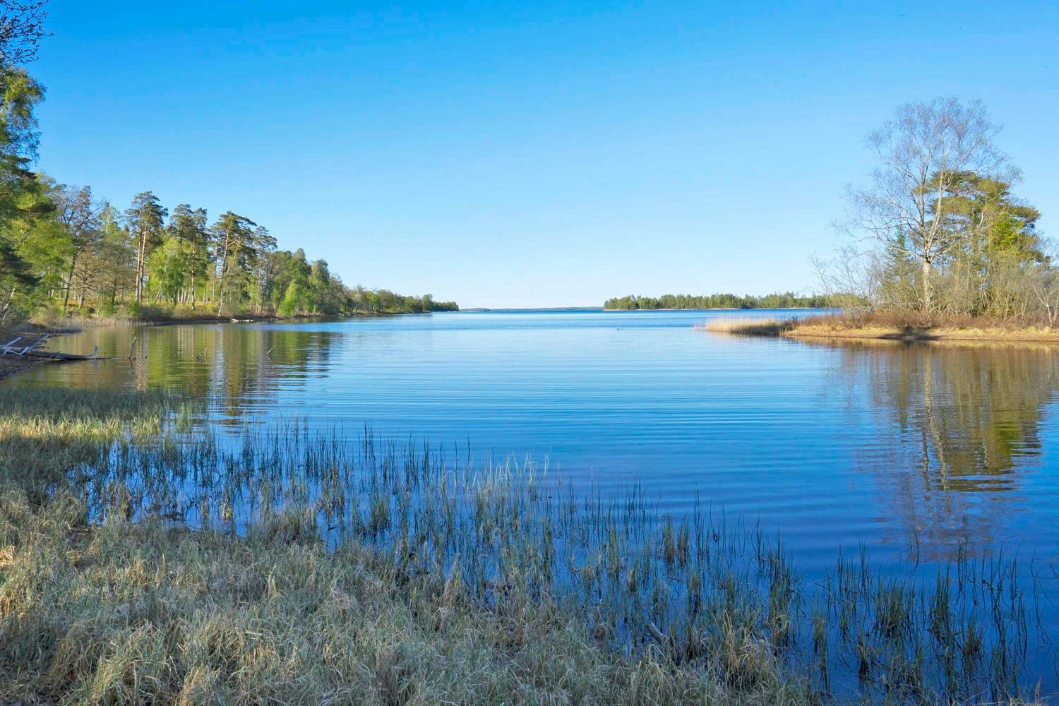 Tomt på Ljunghagen Ljungby kommun - bild 5