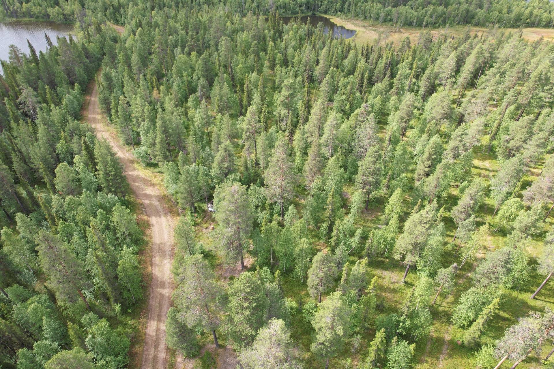 Gård/skog på Vettasjärvi Gällivare kommun - bild 2