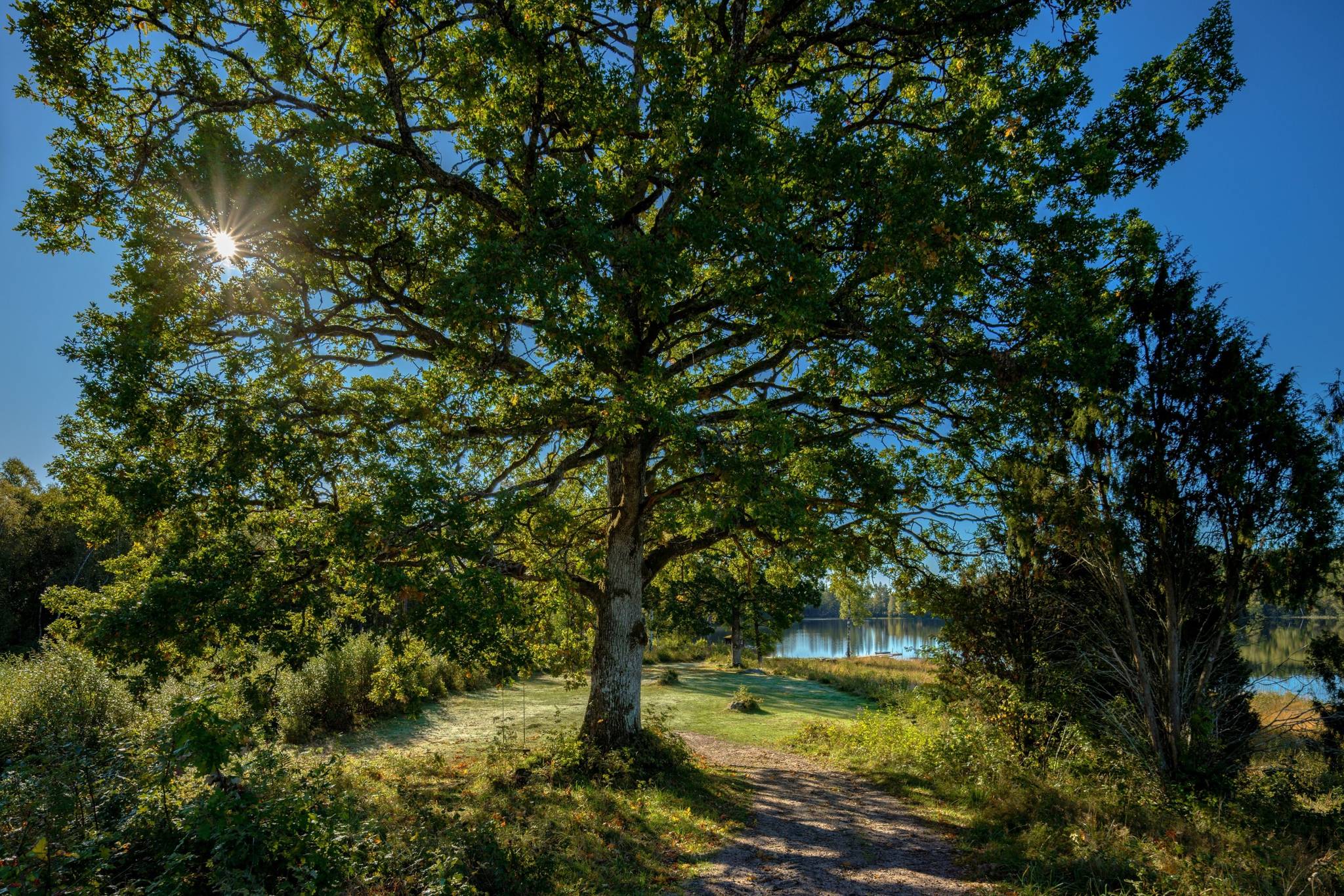 Gård/skog på Åshuvud Björsbo 1 Gnosjö Gnosjö kommun - bild 25