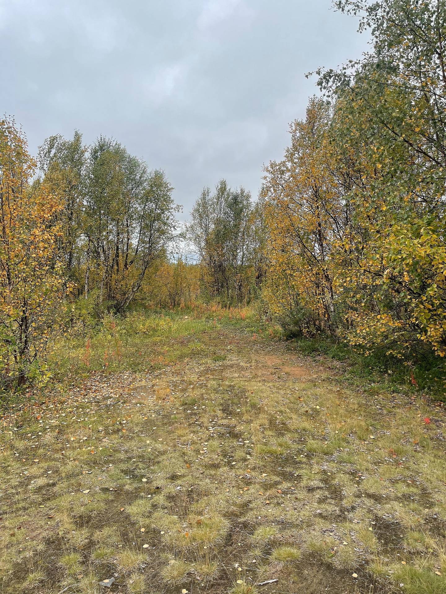 1 rum Fritidshus på Råttjedalen Rakkuri Kiruna kommun - bild 25
