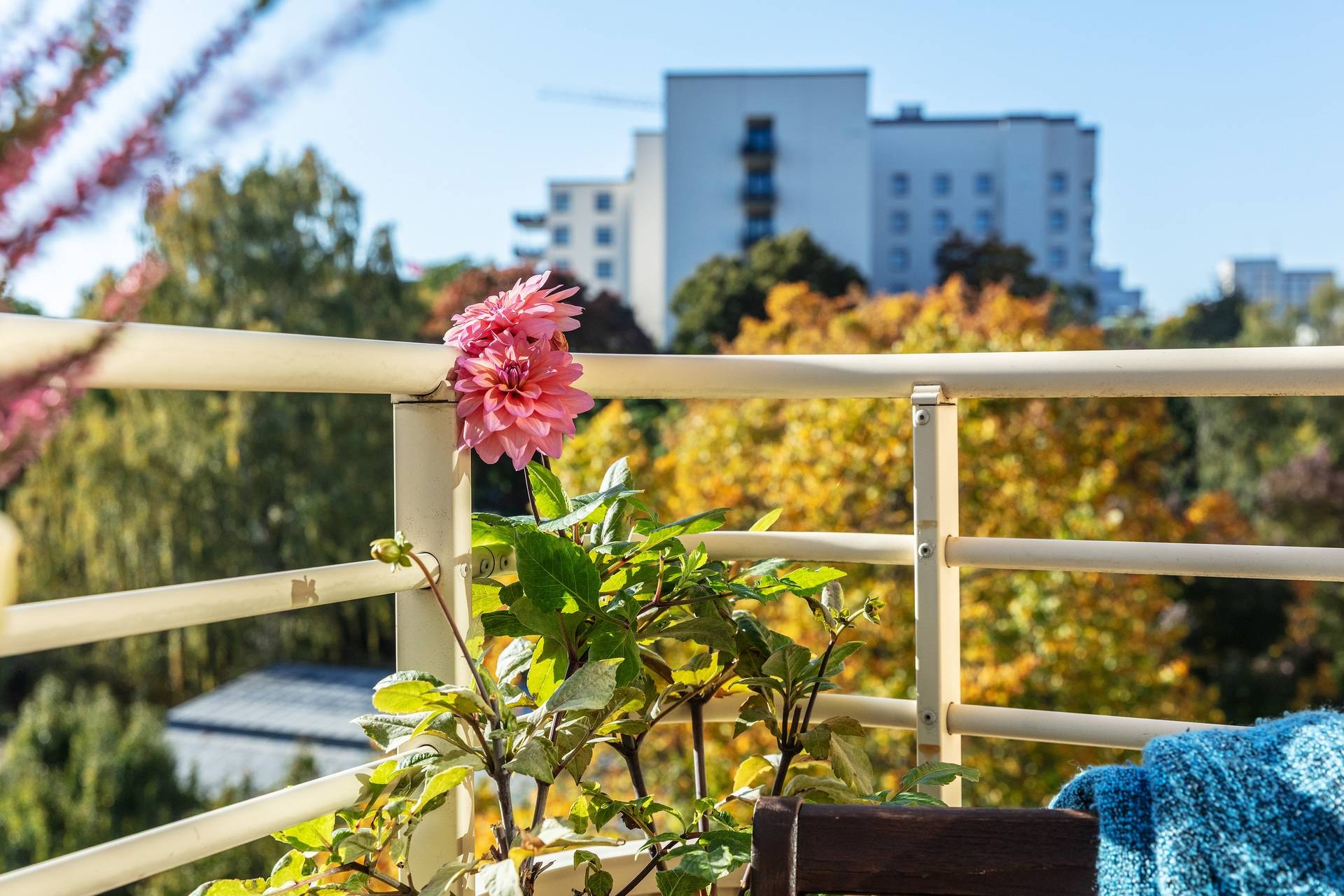 2 rum lägenhet på Ringvägen 60, 3tr Södermalm, Stockholms kommun - bild 3