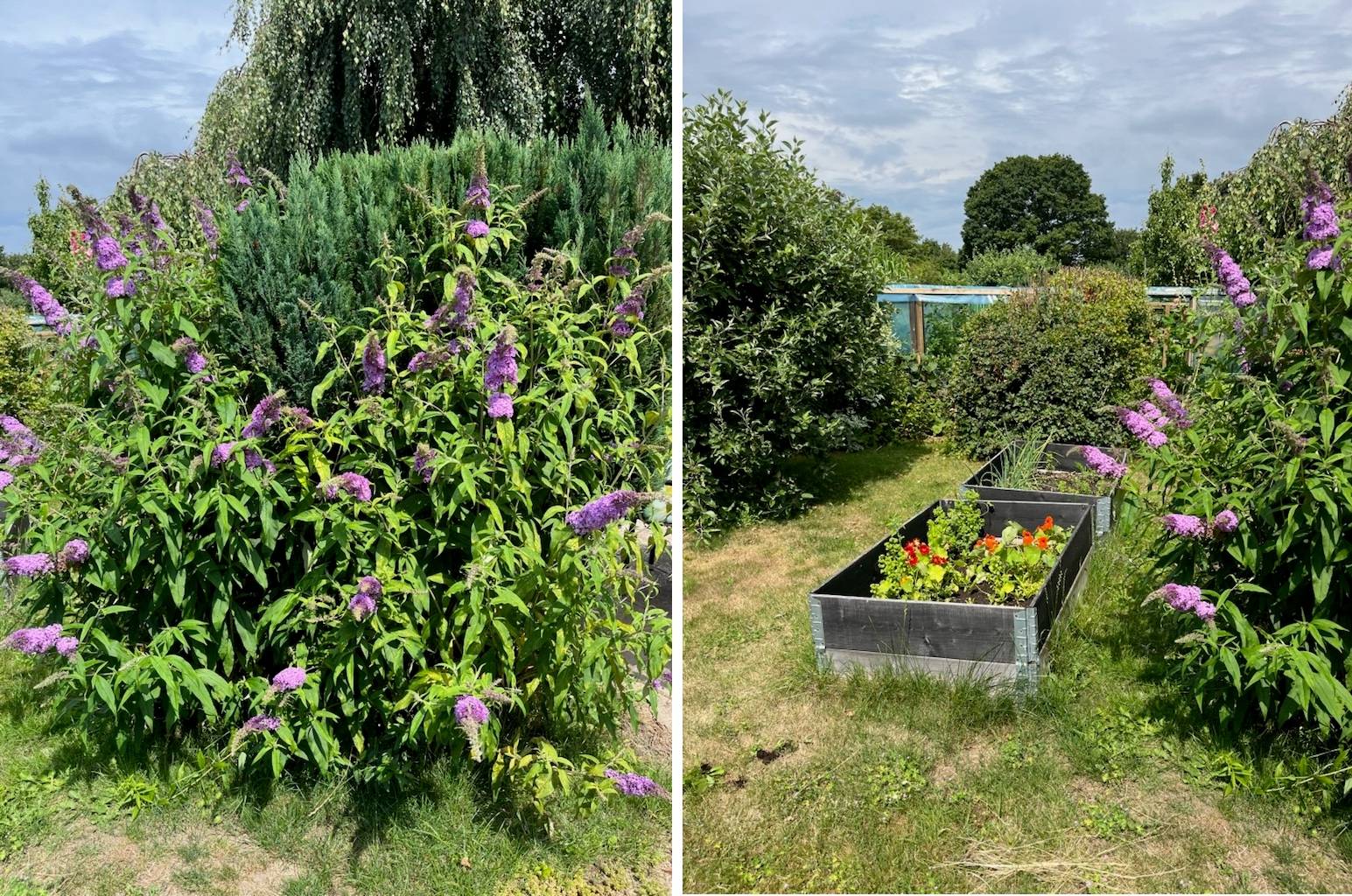 2 rum Fritidshus på Balsamingatan 3, Nr 140 Almåsa Fritidsby Malmö kommun - bild 27