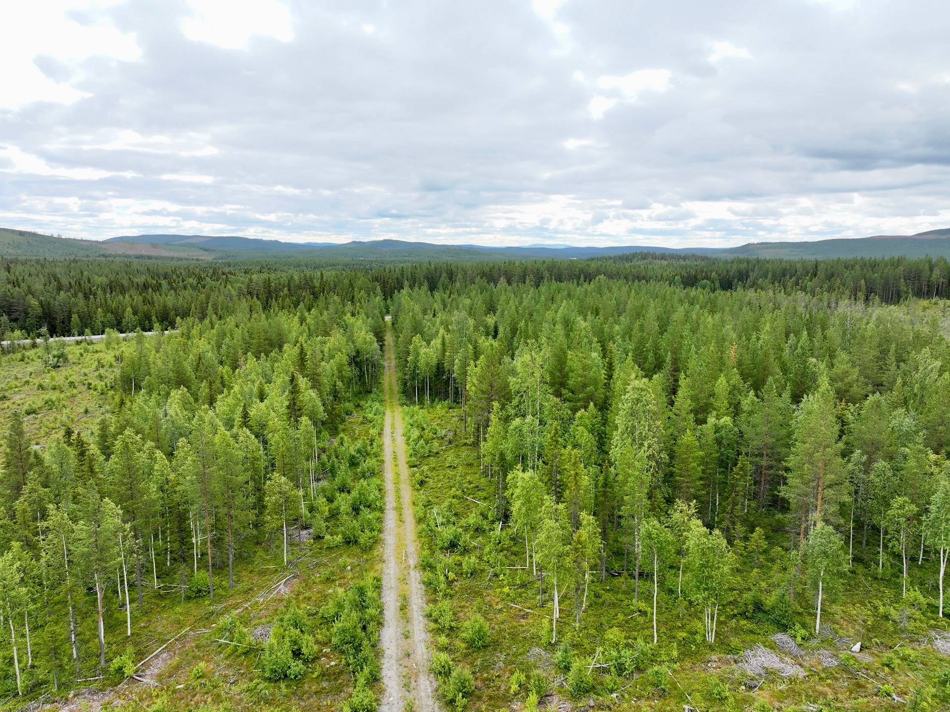 Gård/skog på Björksele 1:44 Lycksele kommun - bild 6