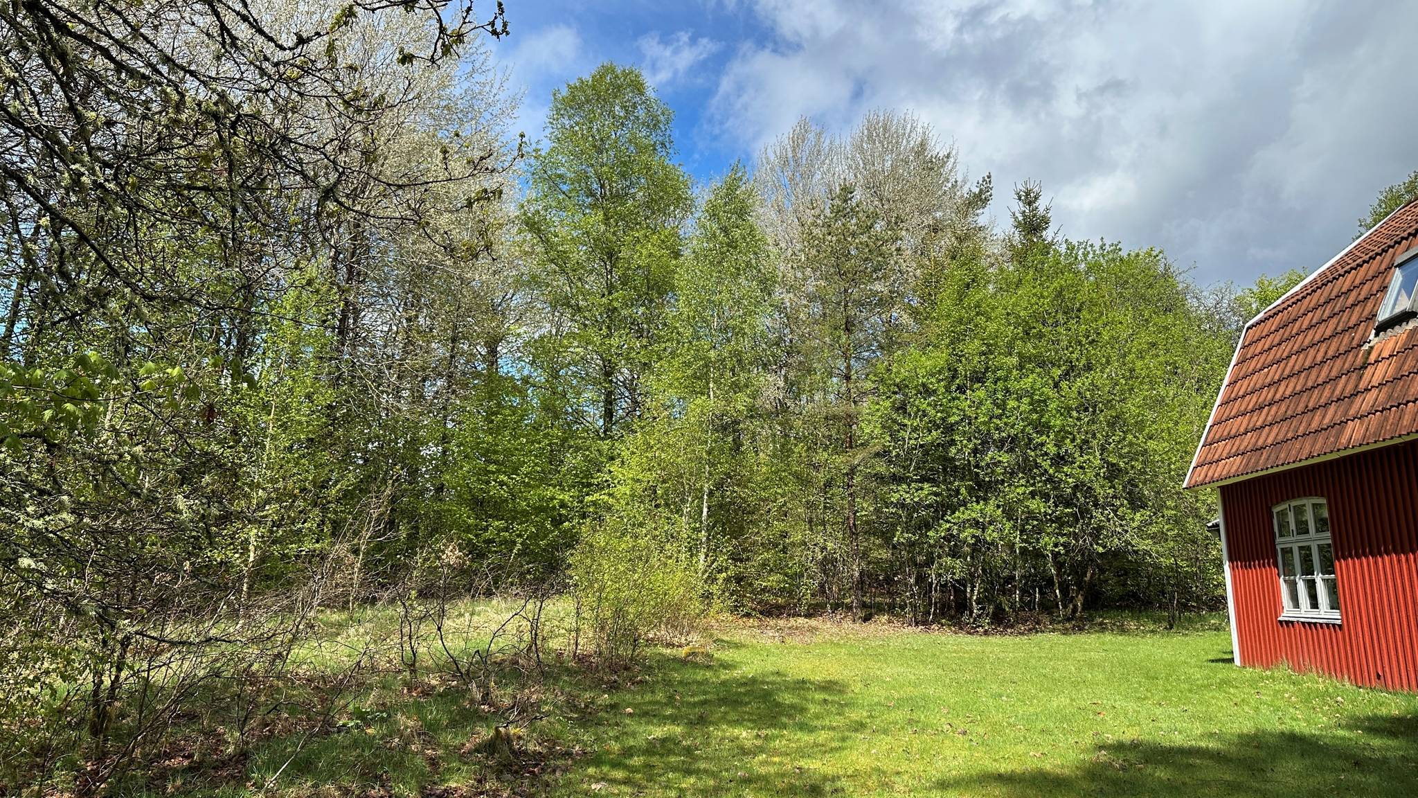 7 rum Villa på Brännebassalt 11 Brännebassalt Ljungby kommun - bild 12