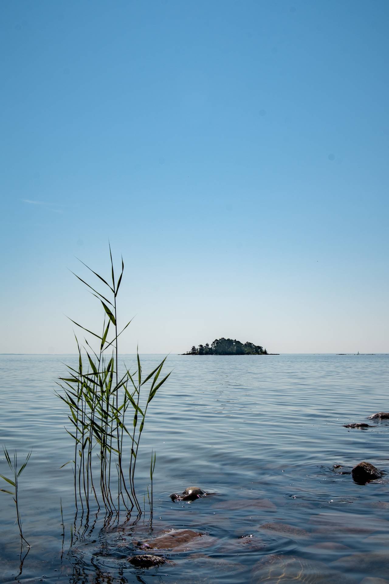 3 rum Gård med skogsbruk på Hjortens fyrväg 12 Melleruds kommun - bild 29