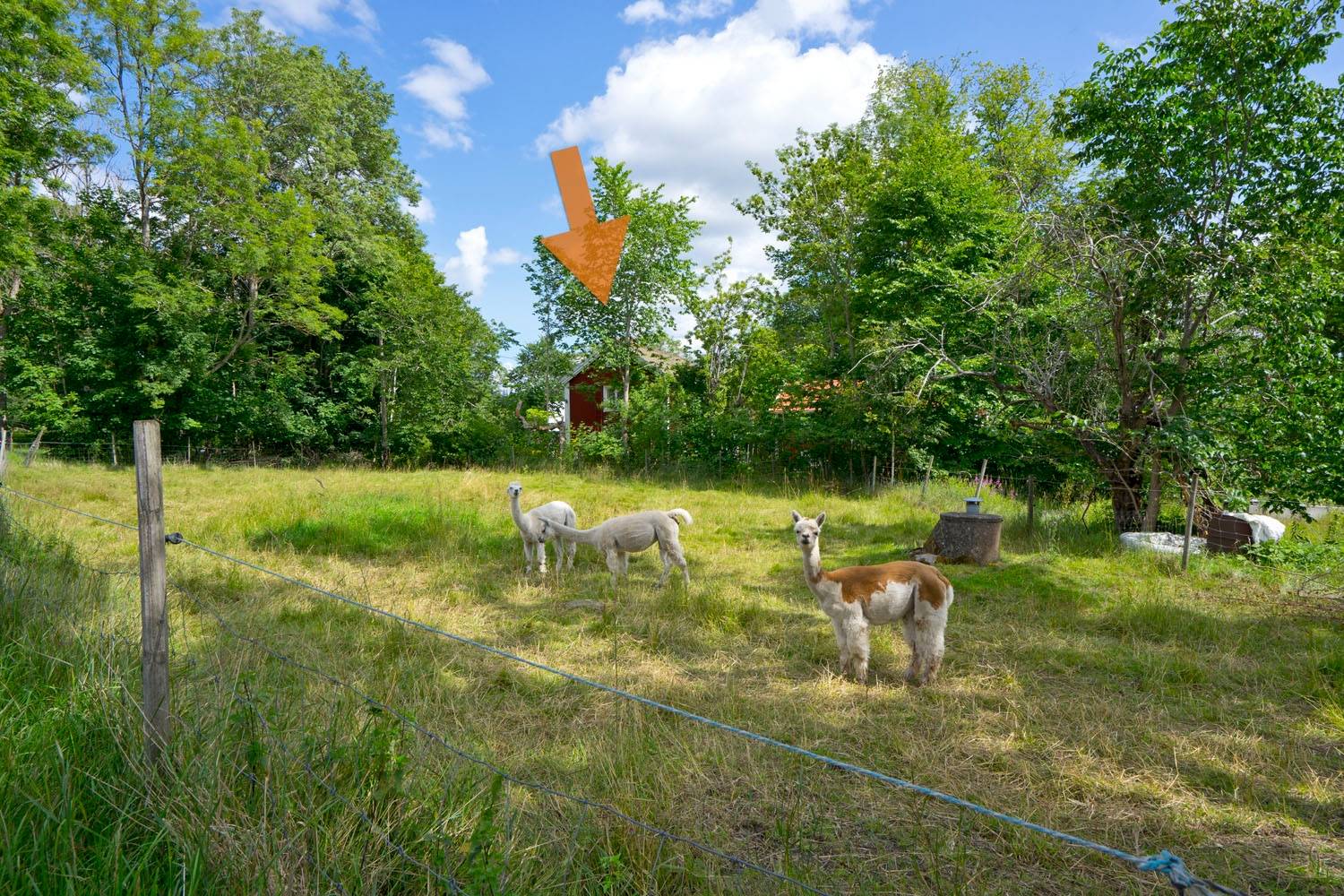5 rum Fritidshus på Munkatorp 1 Småland Växjö kommun - bild 4