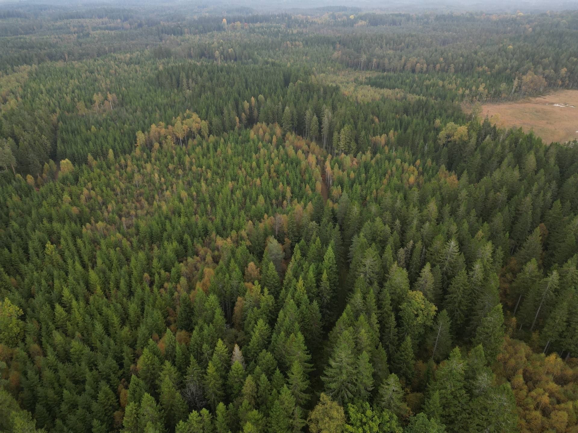 Gård med jordbruk på Yttrebo 107 Hylte kommun - bild 17
