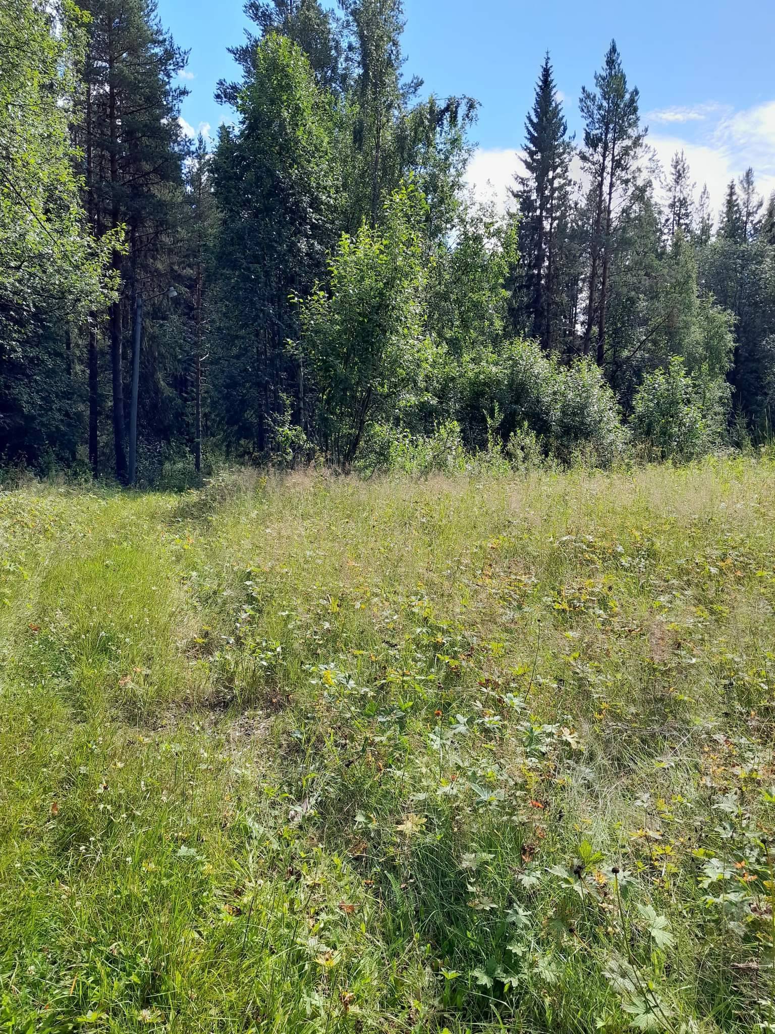 6 rum Gård/skog på Västra Ormsjö 216 Västra Ormsjö Dorotea kommun - bild 45