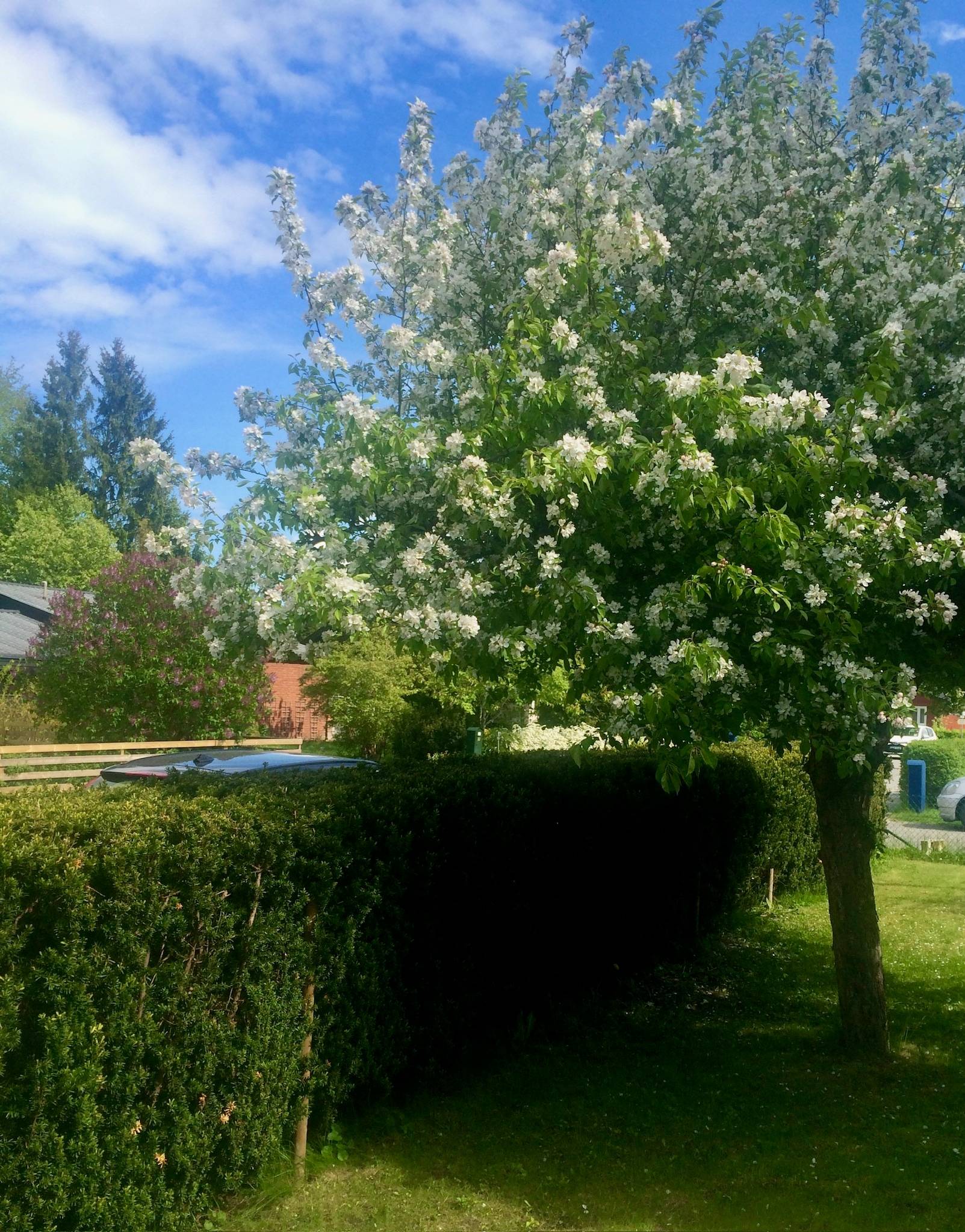 8 rum Villa på Musseronvägen 26 Huddinge Sörskogen Huddinge kommun - bild 32