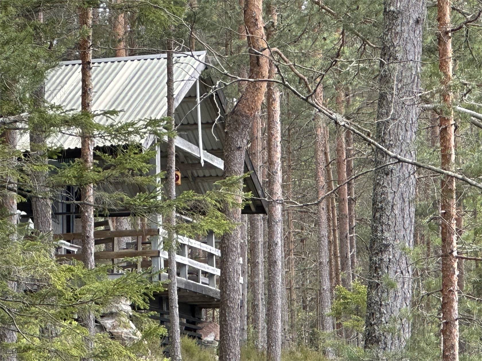 Villa på Mon Krokvattnet 1 o 2 Blomskog Årjängs kommun - bild 7
