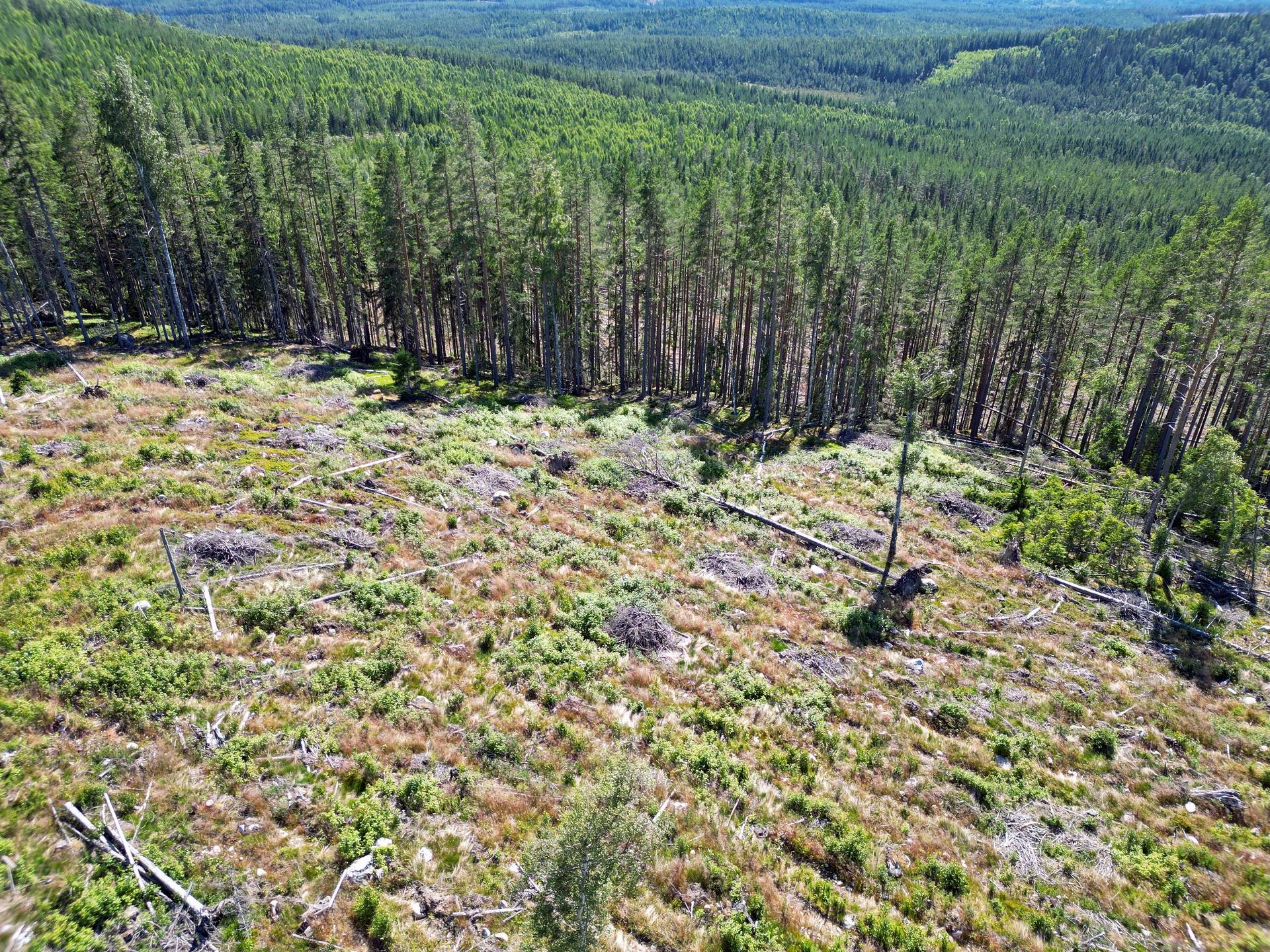 Svartvallsberget, Ljusdals kommun
