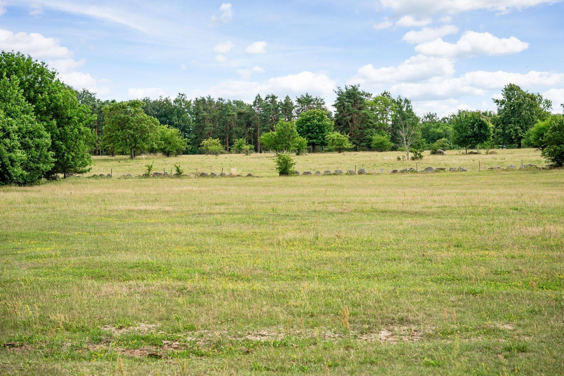 275 m² Gård med skogsbruk på Margaretehof, Lyngbyvägen 60 Everöd Kristianstads kommun - bild 114