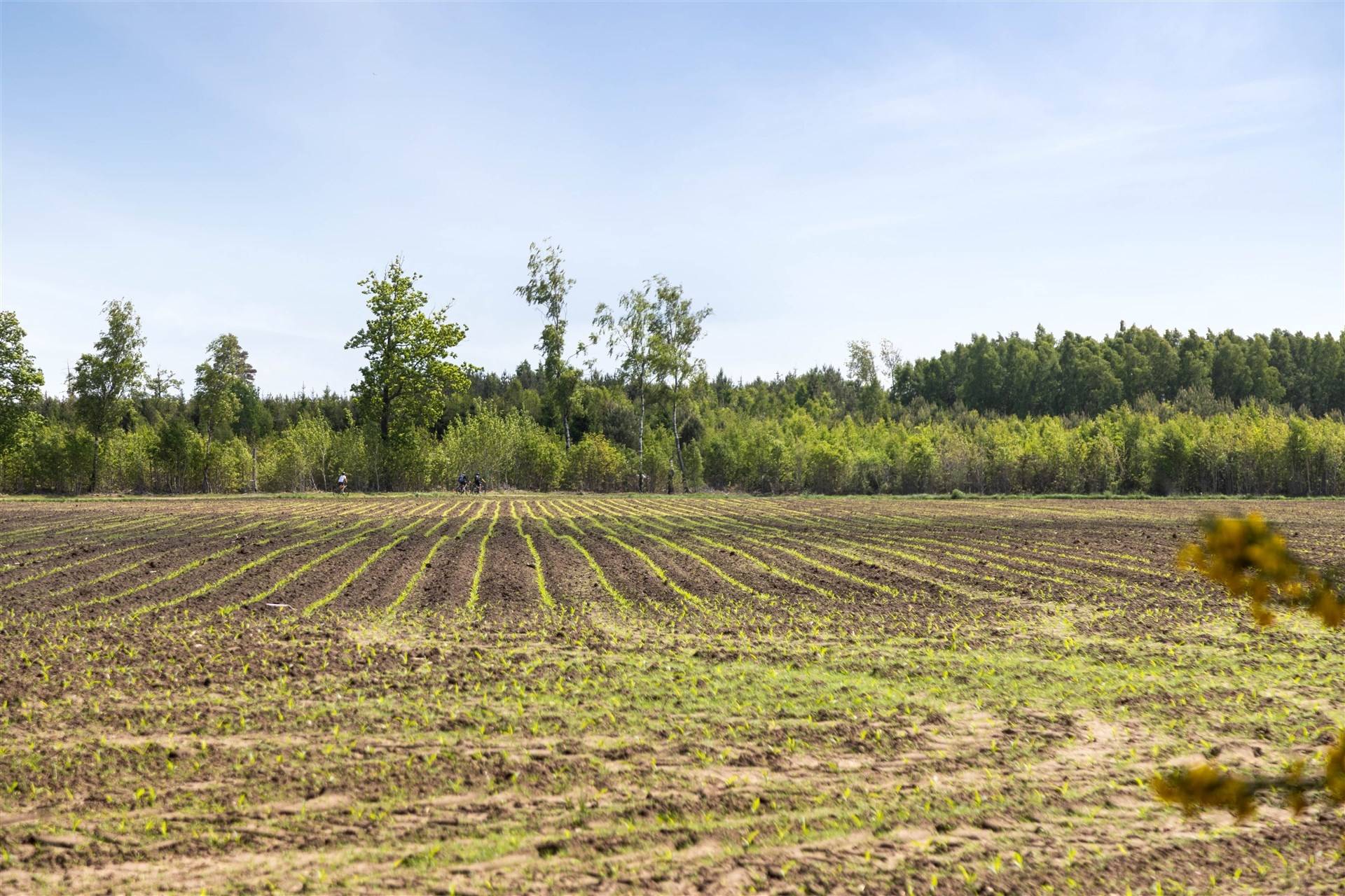 4 rum Villa på Furuvägen 16 Våxtorp Laholms kommun - bild 5