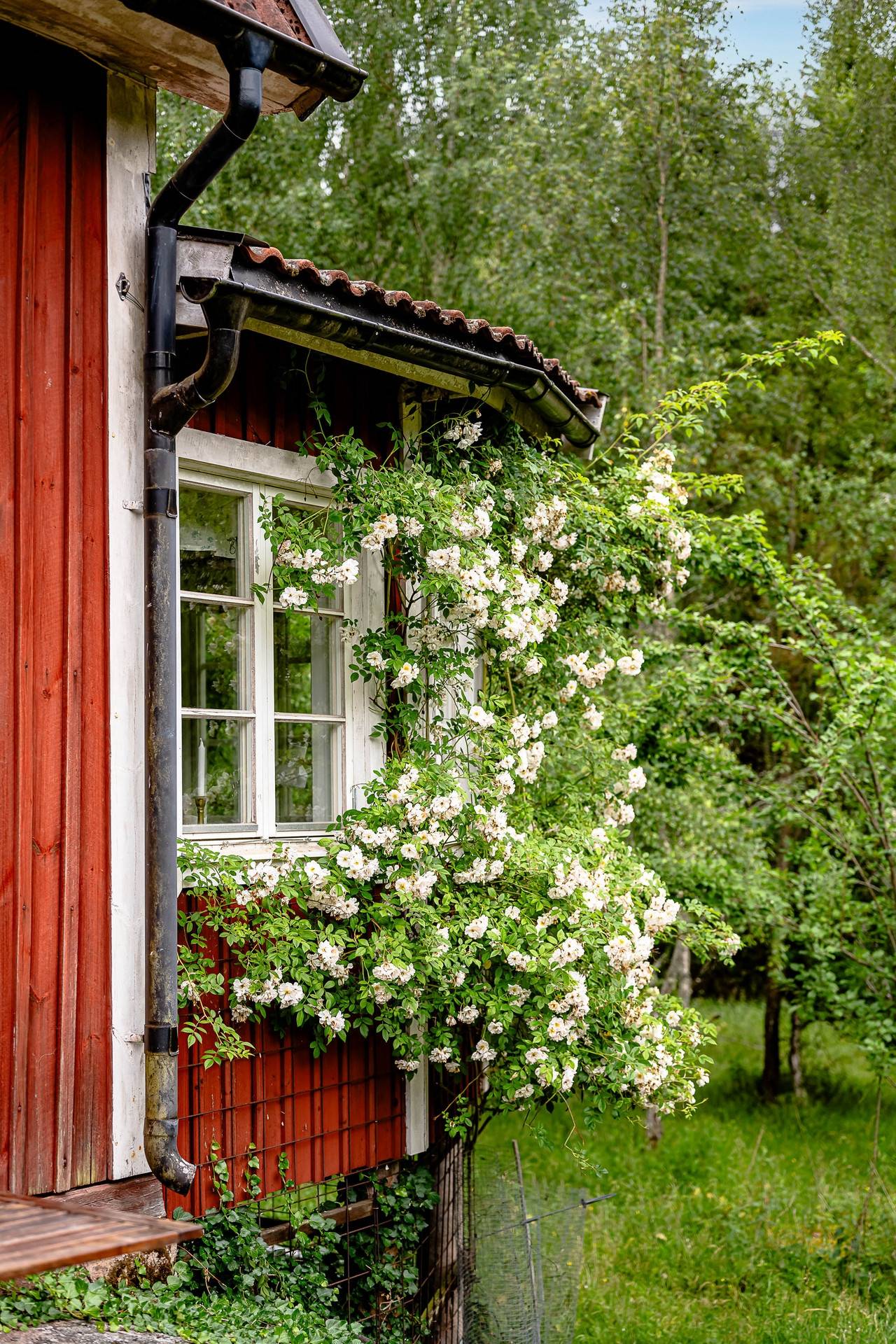 4 rum Fritidshus på Forsa Källtorp 1 Forsa Katrineholms kommun - bild 44