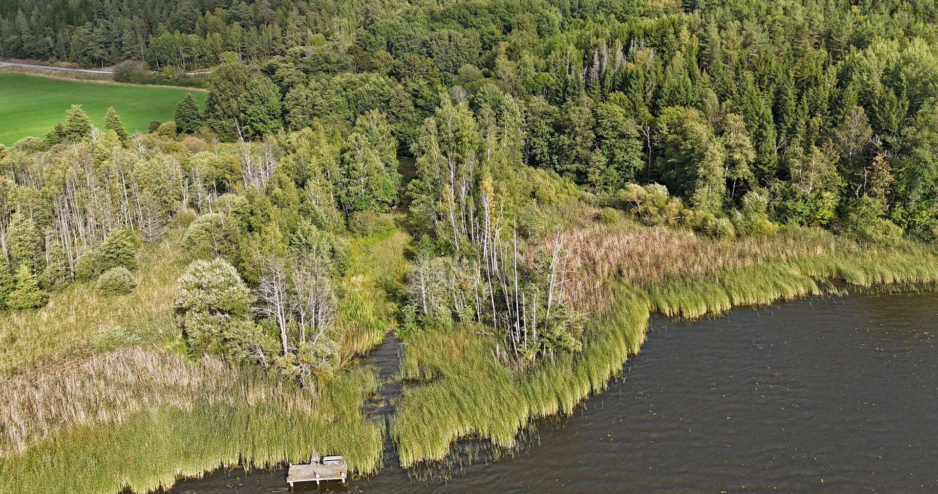 Gård/skog på Bärmö skogar Sigtuna kommun - bild 6