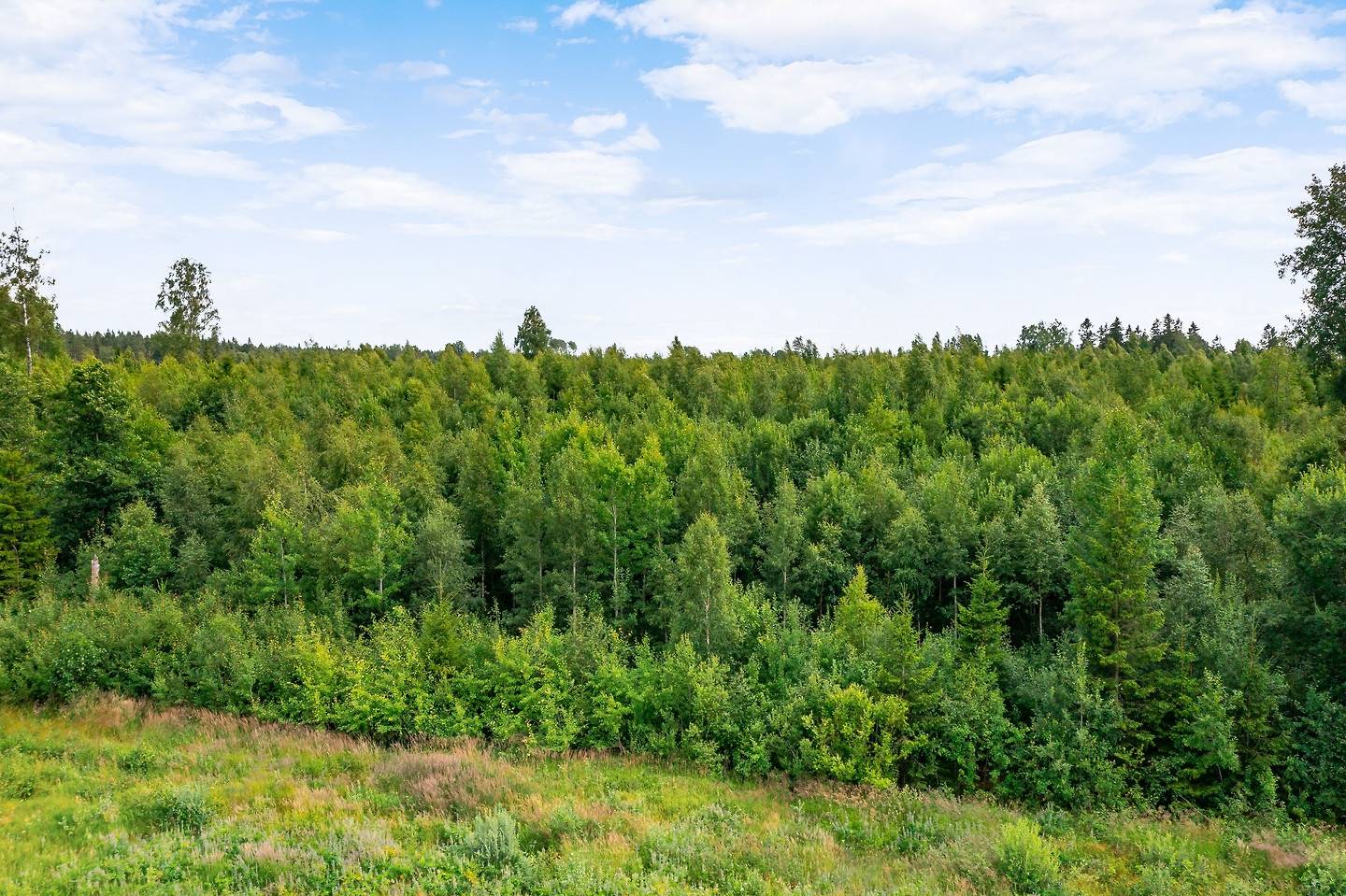 Gård/skog på Fagerlid Storkila Gullspångs kommun - bild 9