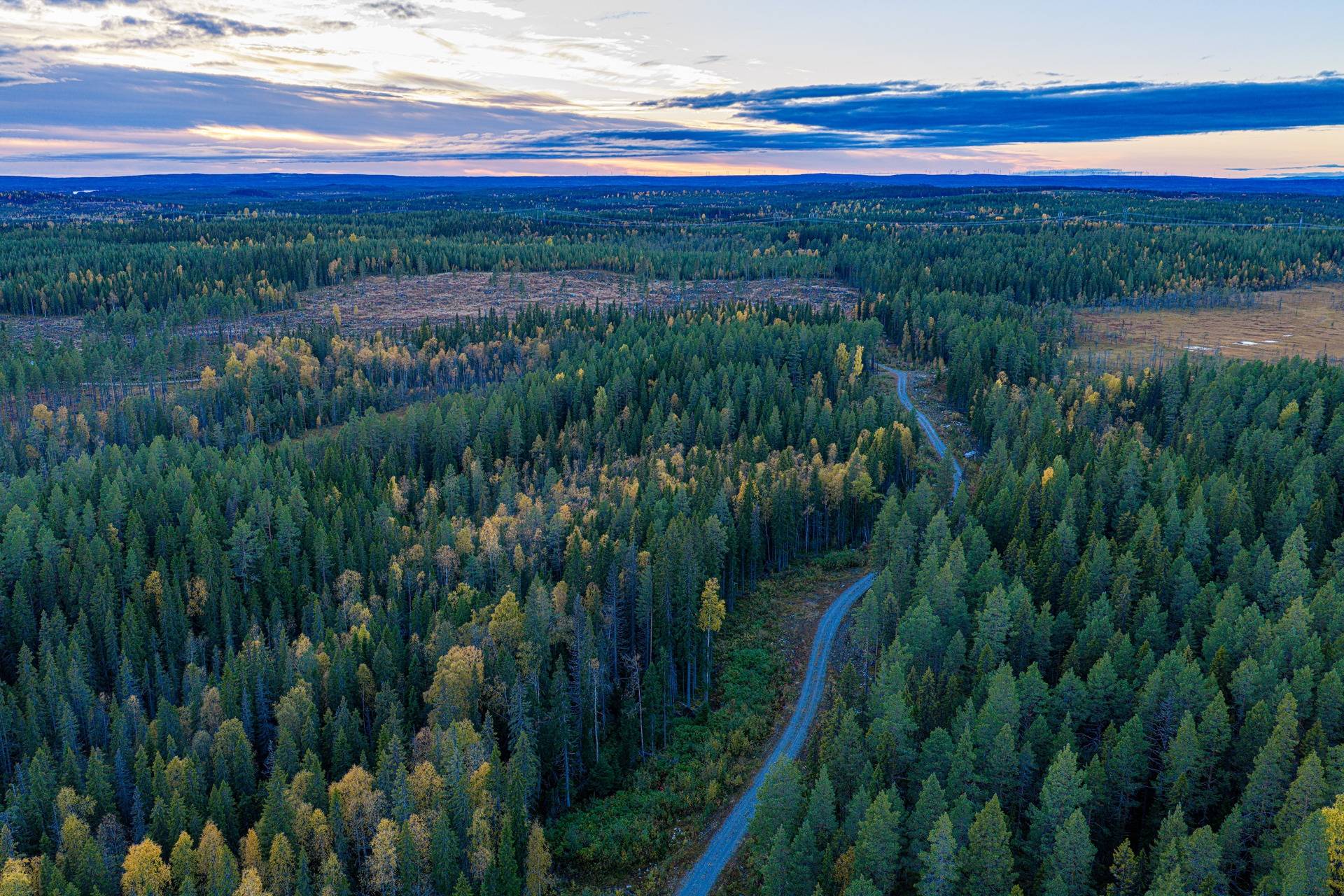 Gård/skog på Öravattnet Ragunda kommun - bild 8