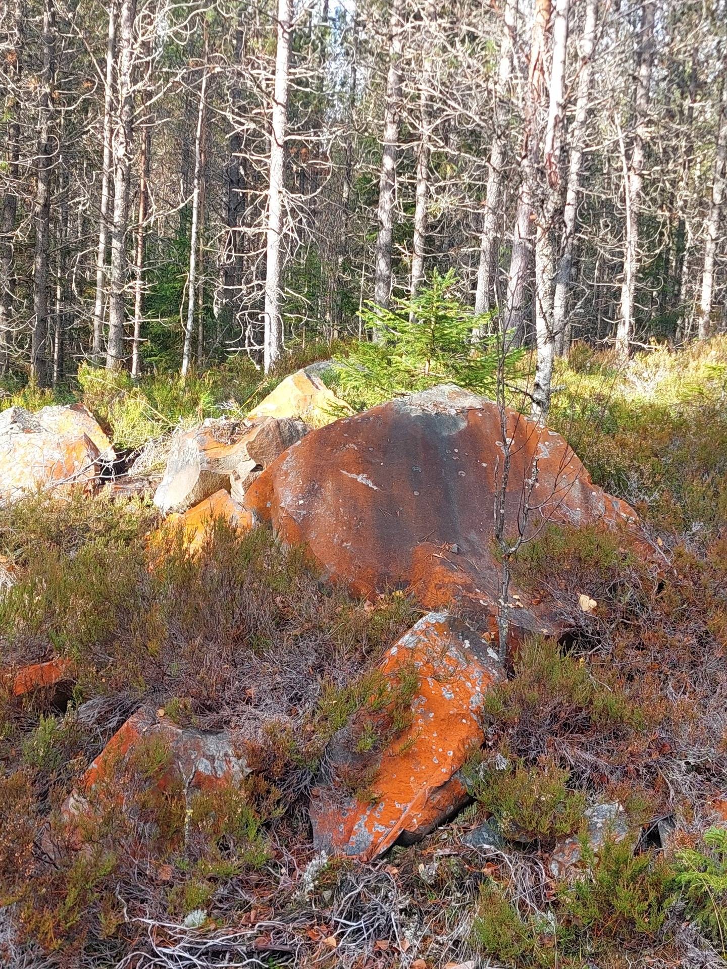 3 rum Vinterbonat fritidshus på Gillersklack 11 Kopparberg Ljusnarsbergs kommun - bild 32