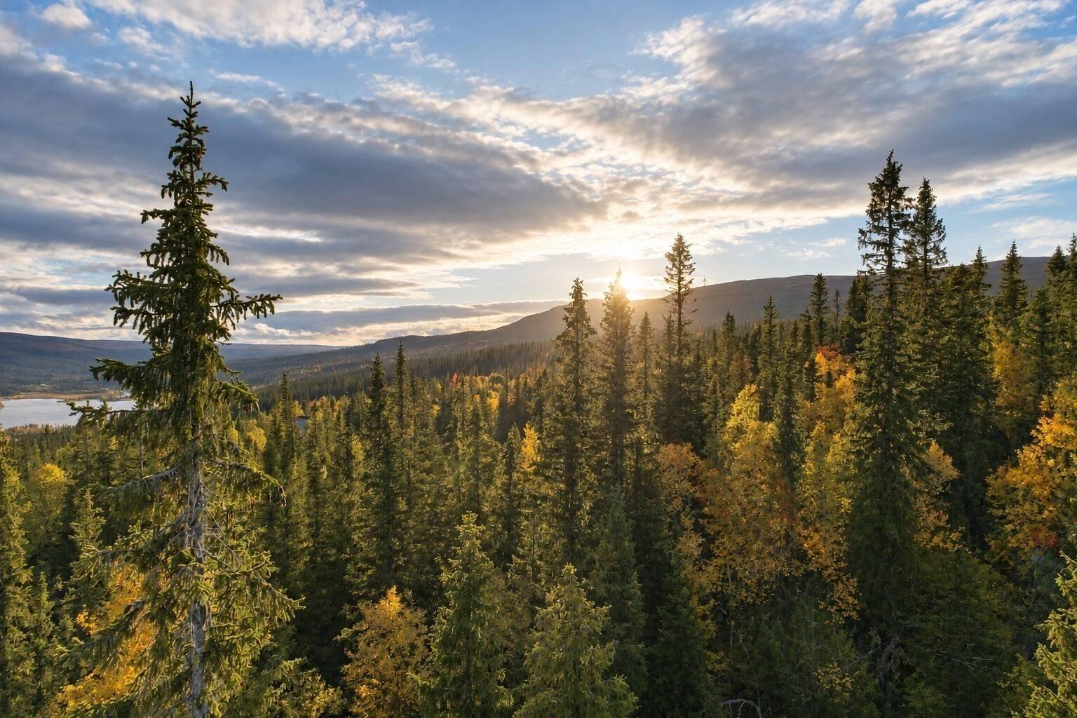 Hallen, Åre kommun