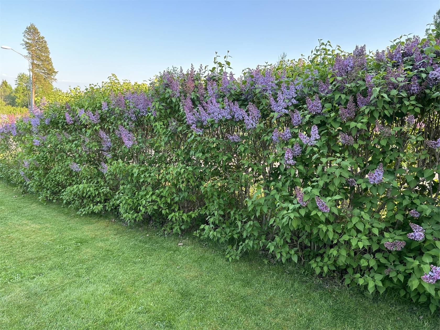 5 rum Villa på Ljungås, Råstavägen 9 Ålberga Nyköpings kommun - bild 38